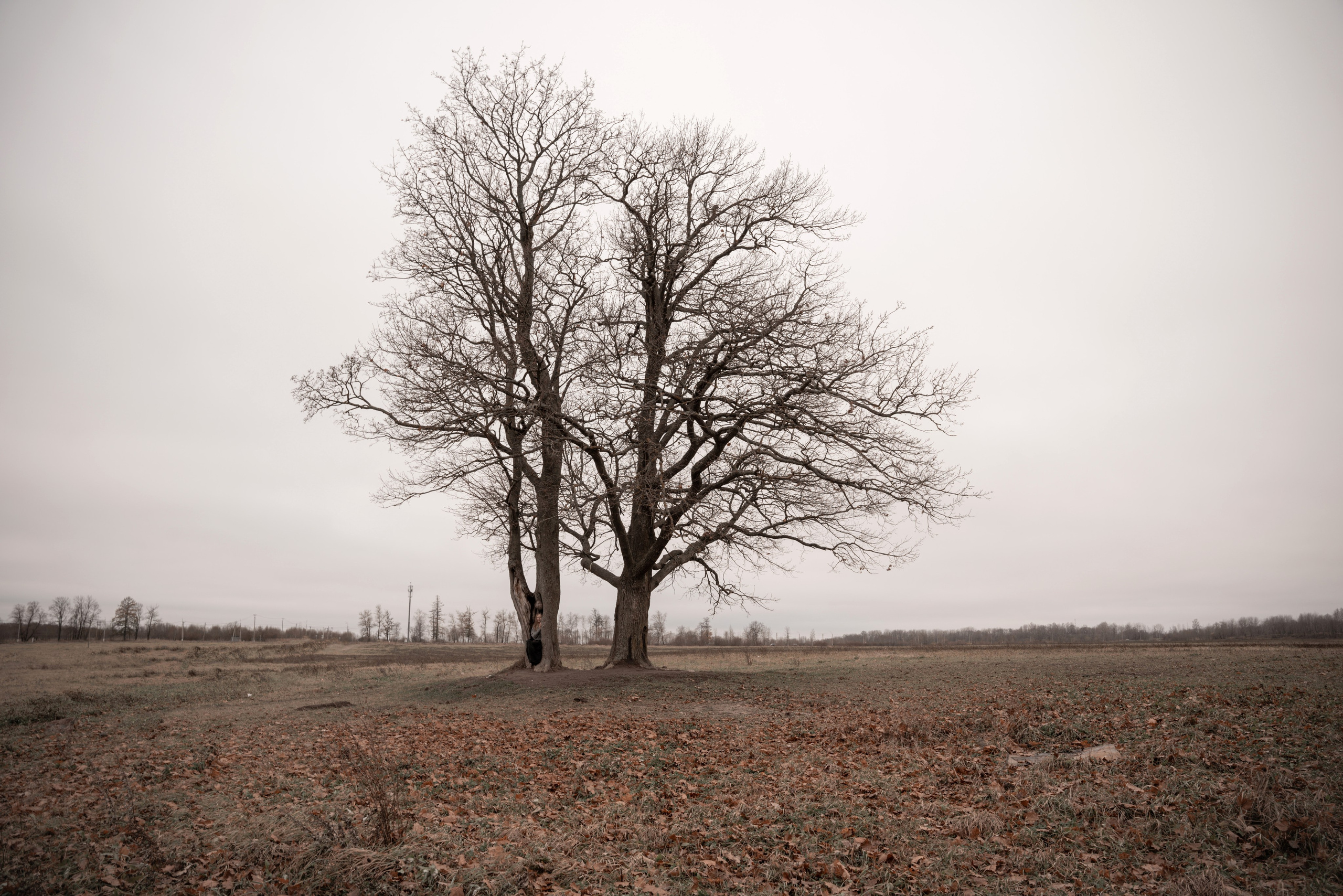 Диана Шинкарук — Фотограф в Санкт-Петербурге