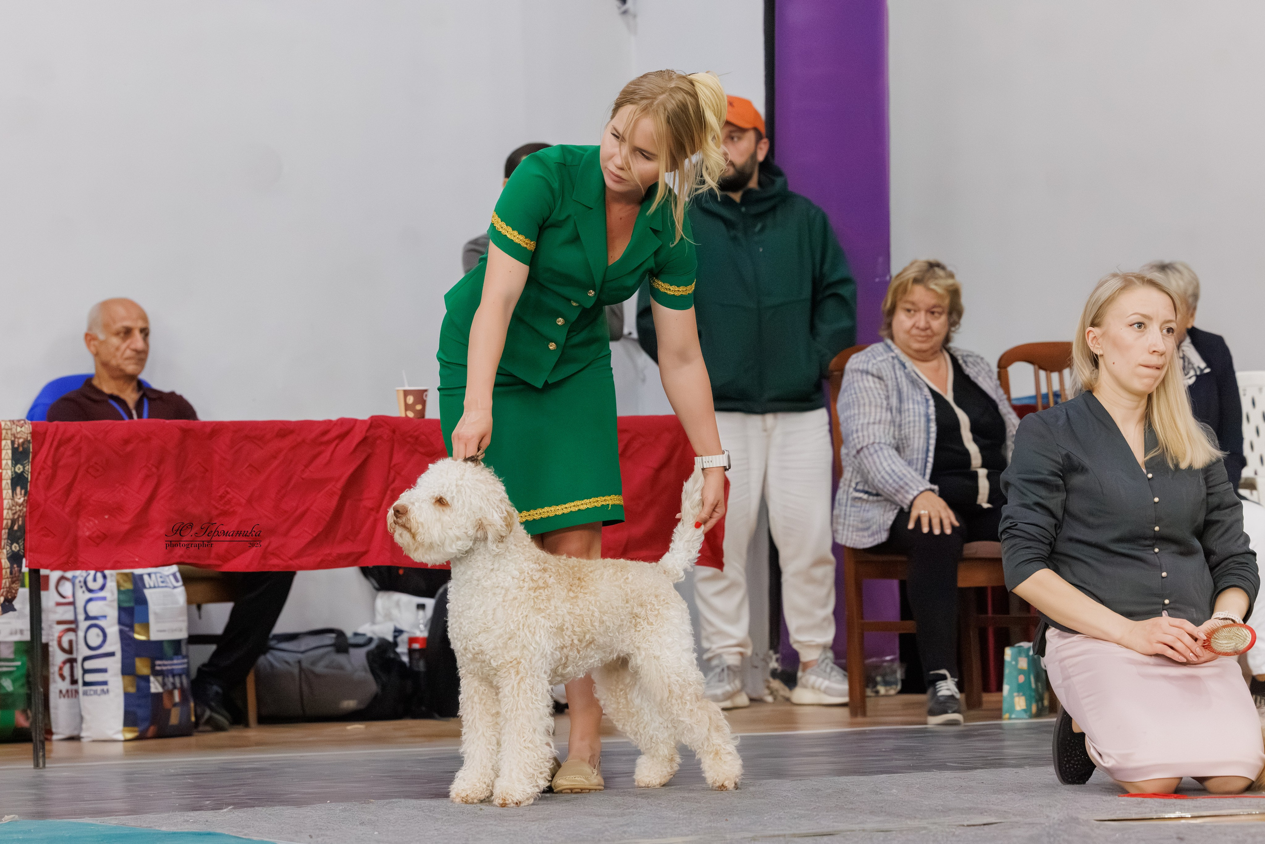 Ереван 2х CACIB 29-30.04.2025. Фотограф-анималист Юлия Германика