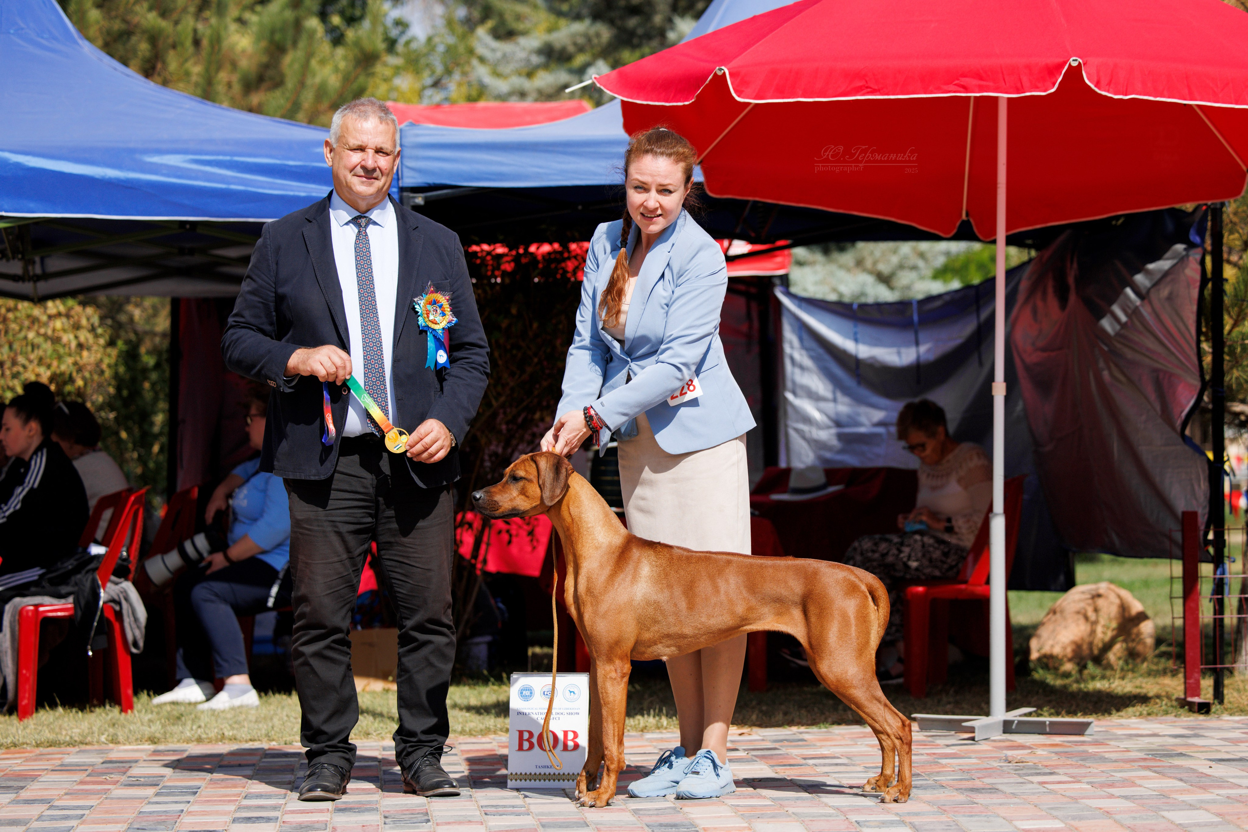 Ташкент 3хCACIB 3-5.10.2025. Фотограф-анималист Юлия Германика