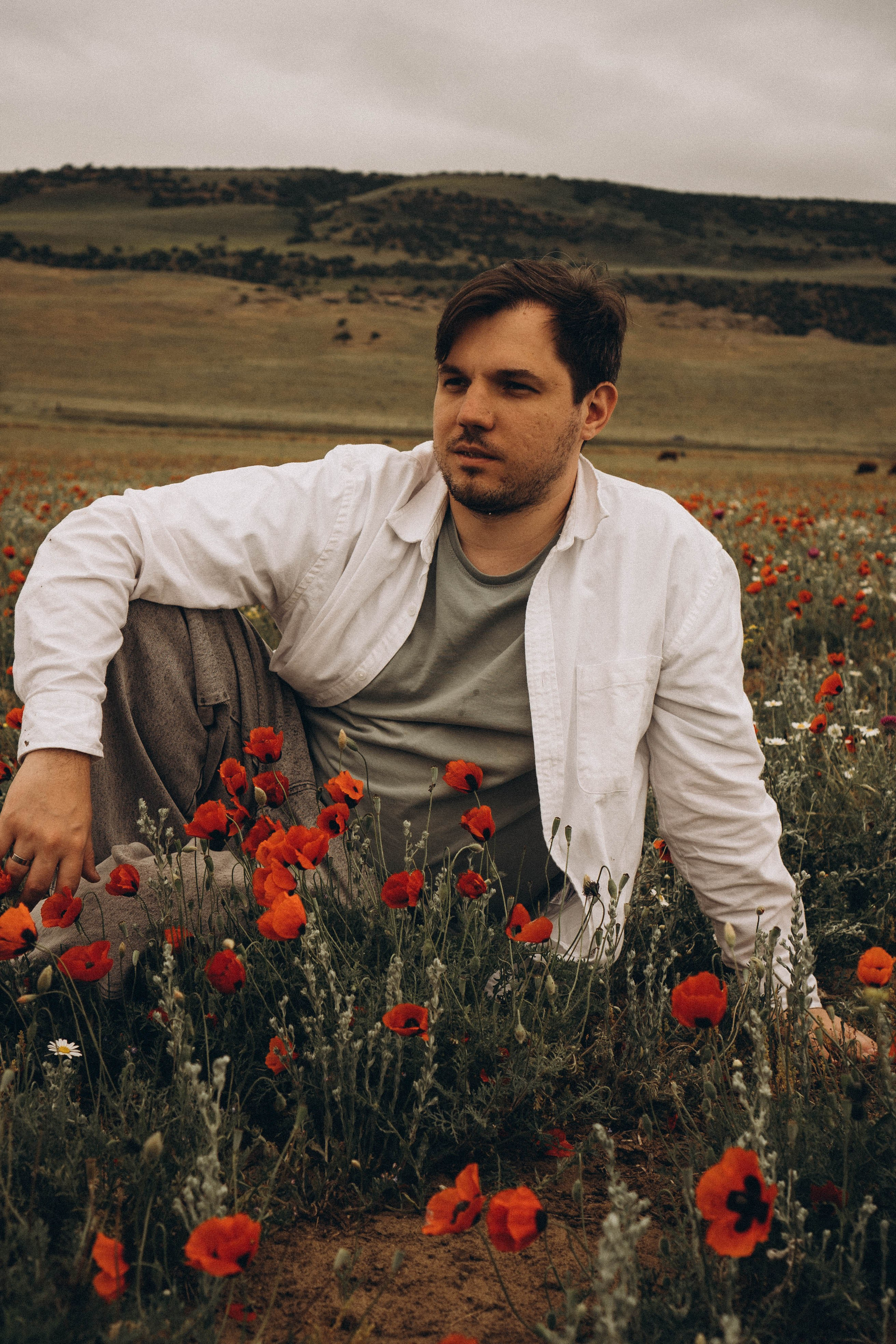 Маки. Профессиональный фотограф, Санкт-Петербург — Виктория Богомолова