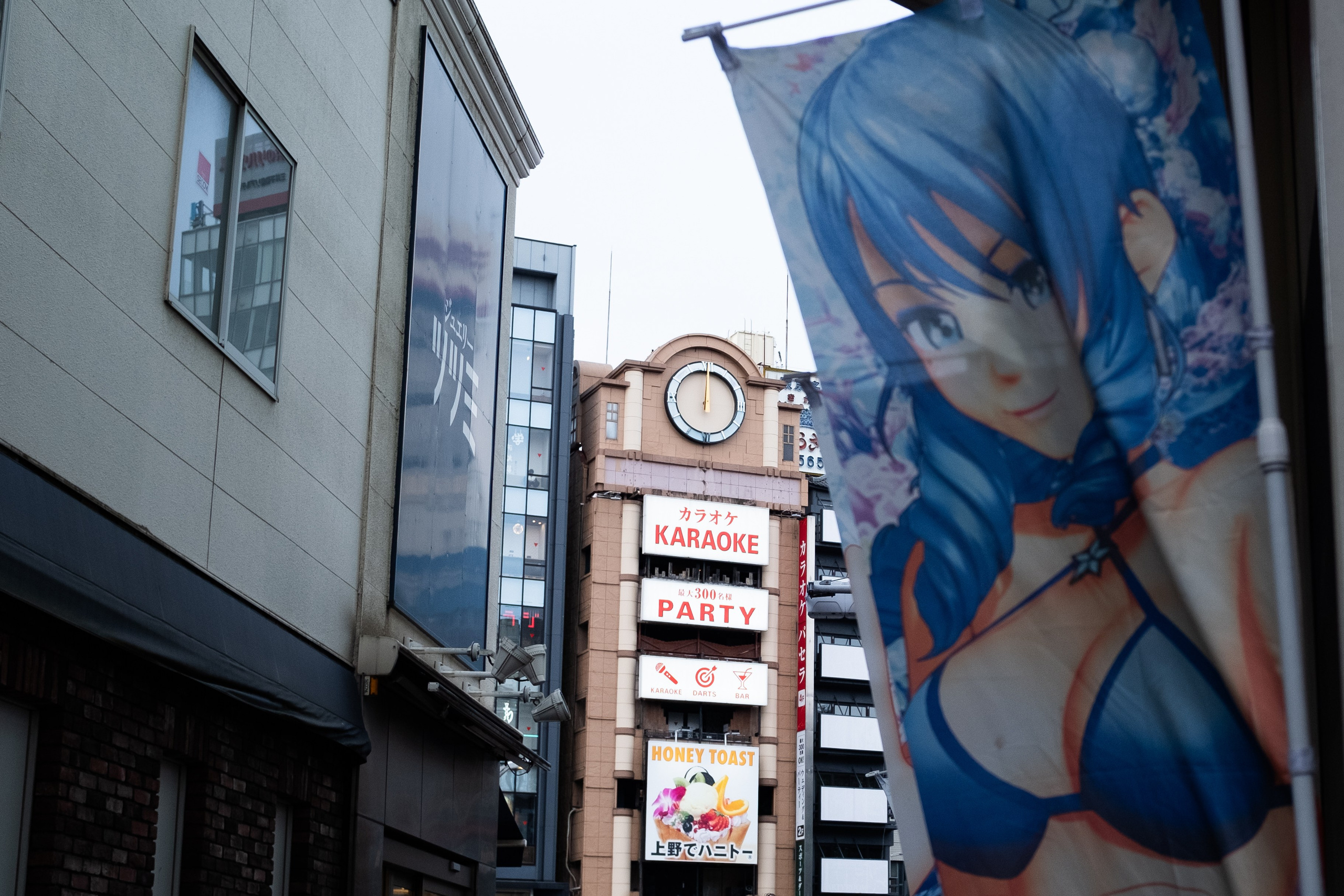 Tokyo. Regina Platonova