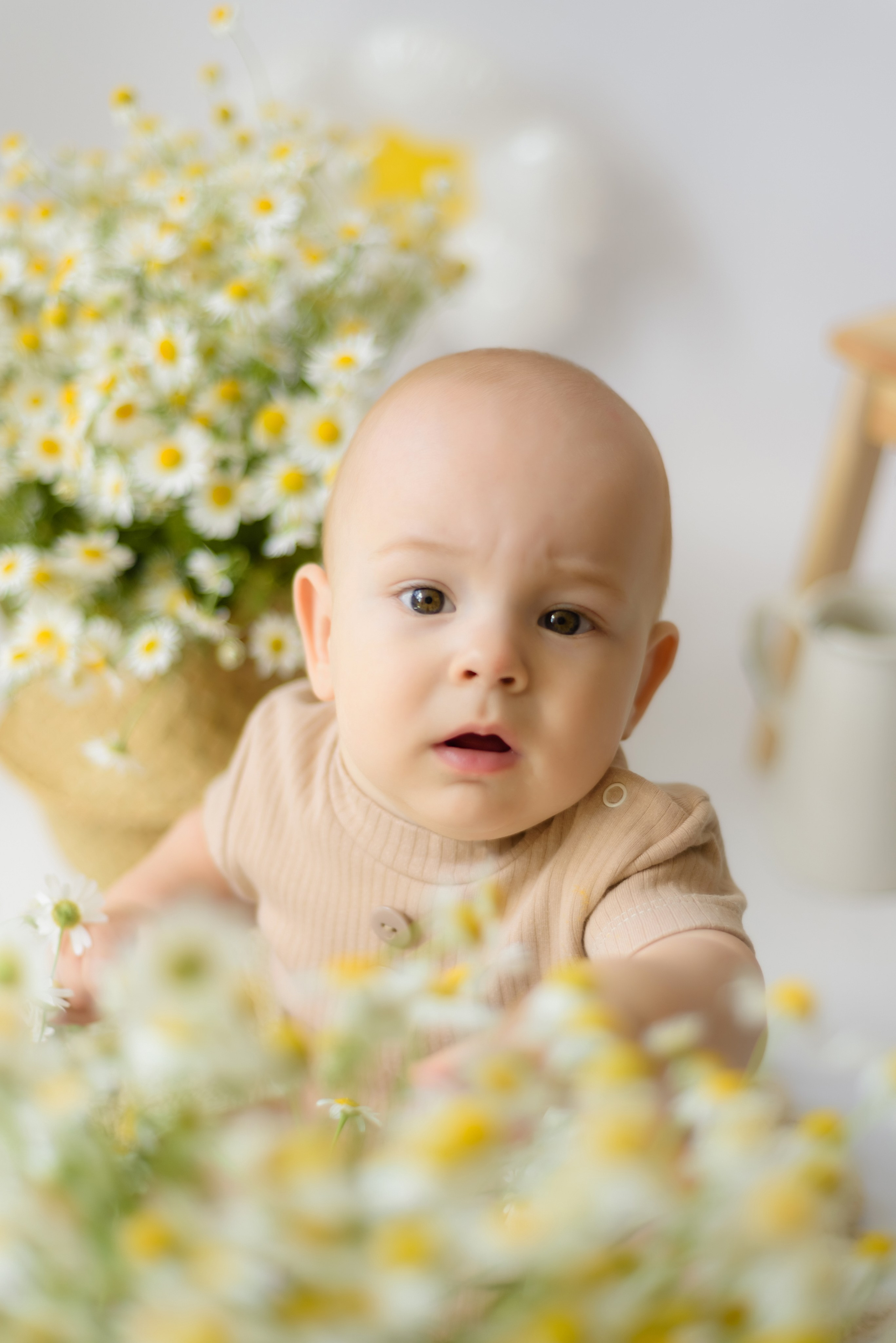 Фотопроект «Ромашки» Глеб. Детский Фотограф |Фотограф на годик в Брянске Ирина Романова