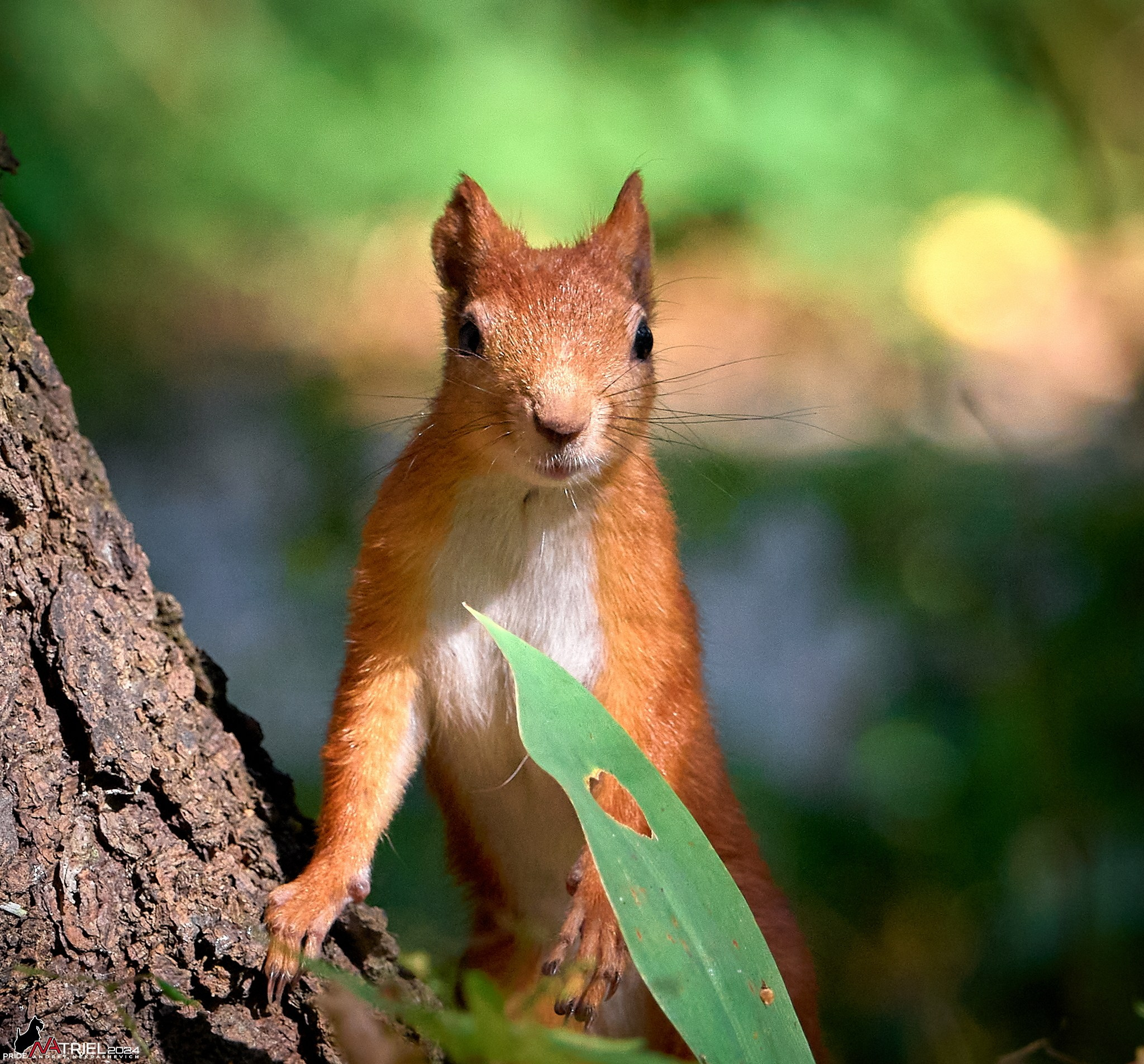 Фотопрогулка на природе