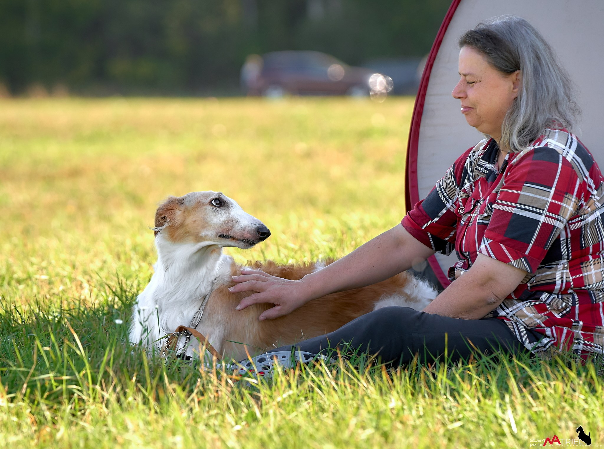 Курсинг в Иволге