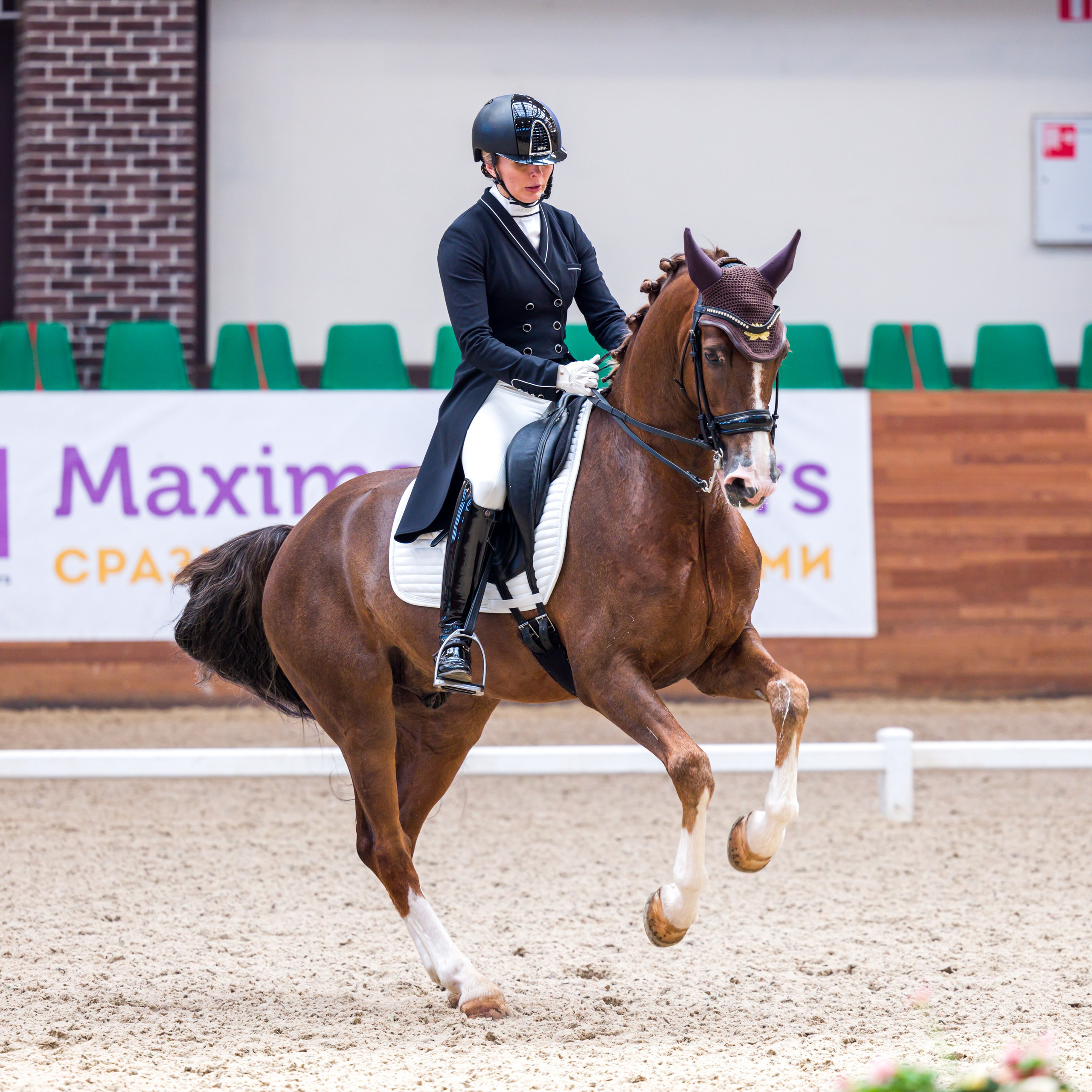 Выездка. Mrs.Aquarelia Конный фотограф Марианна Леонтьева