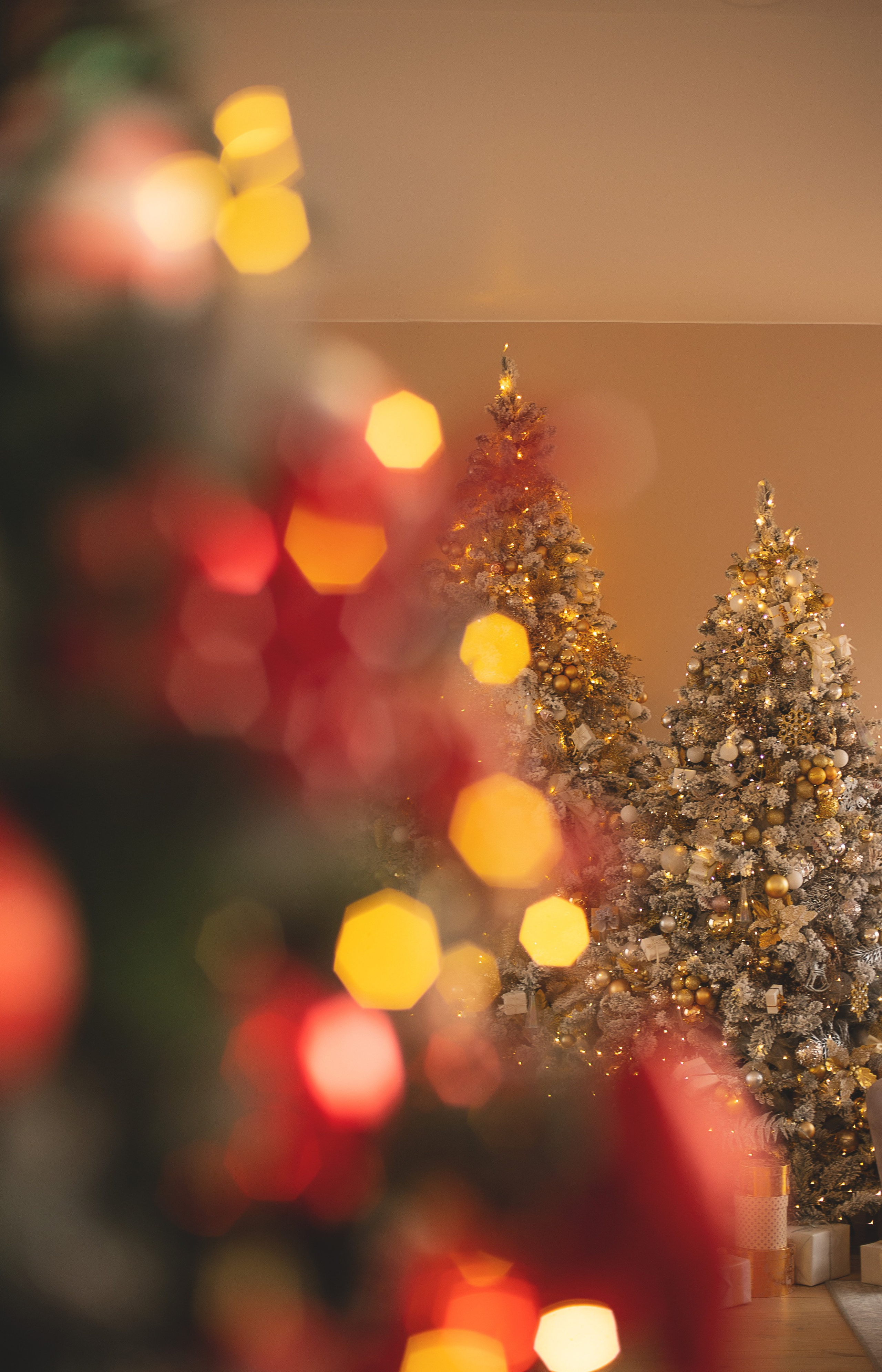 Услуги фотографа Москва, новогодняя фотосессия