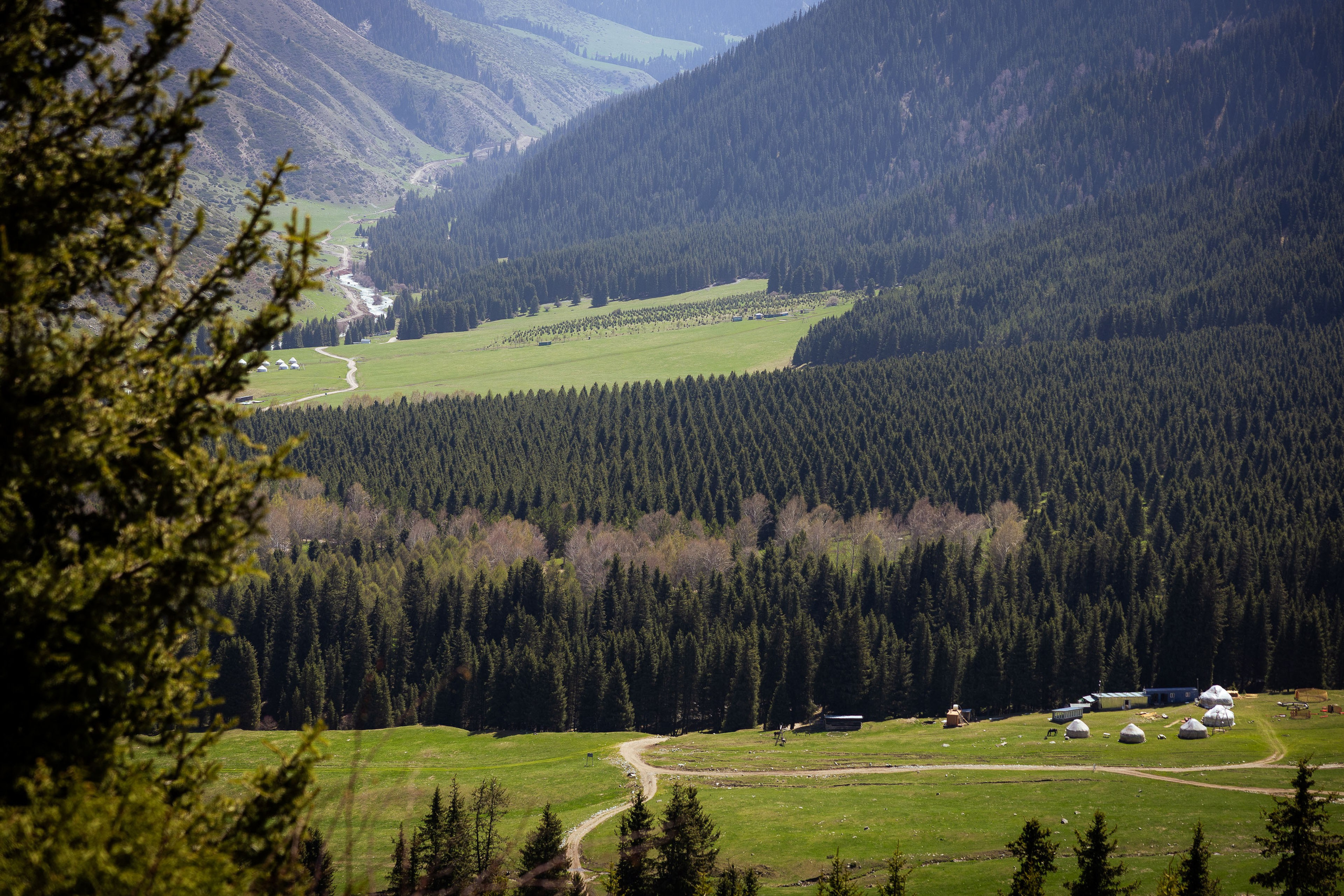 Кыргызстан (весна 2025). Фотограф Виноградов Константин