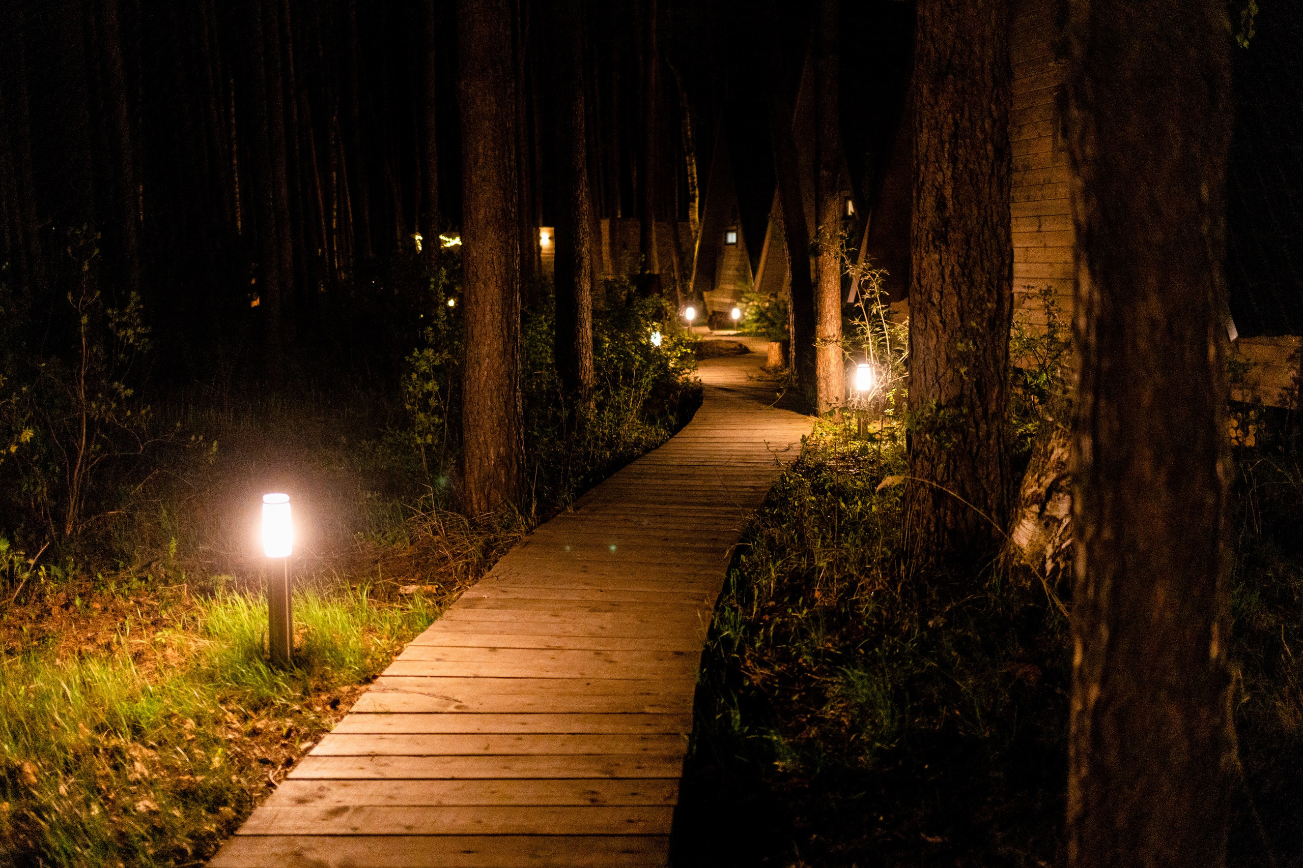 Глэмпинг МОРЕ. Павел Шарапов | Фотограф | Москва