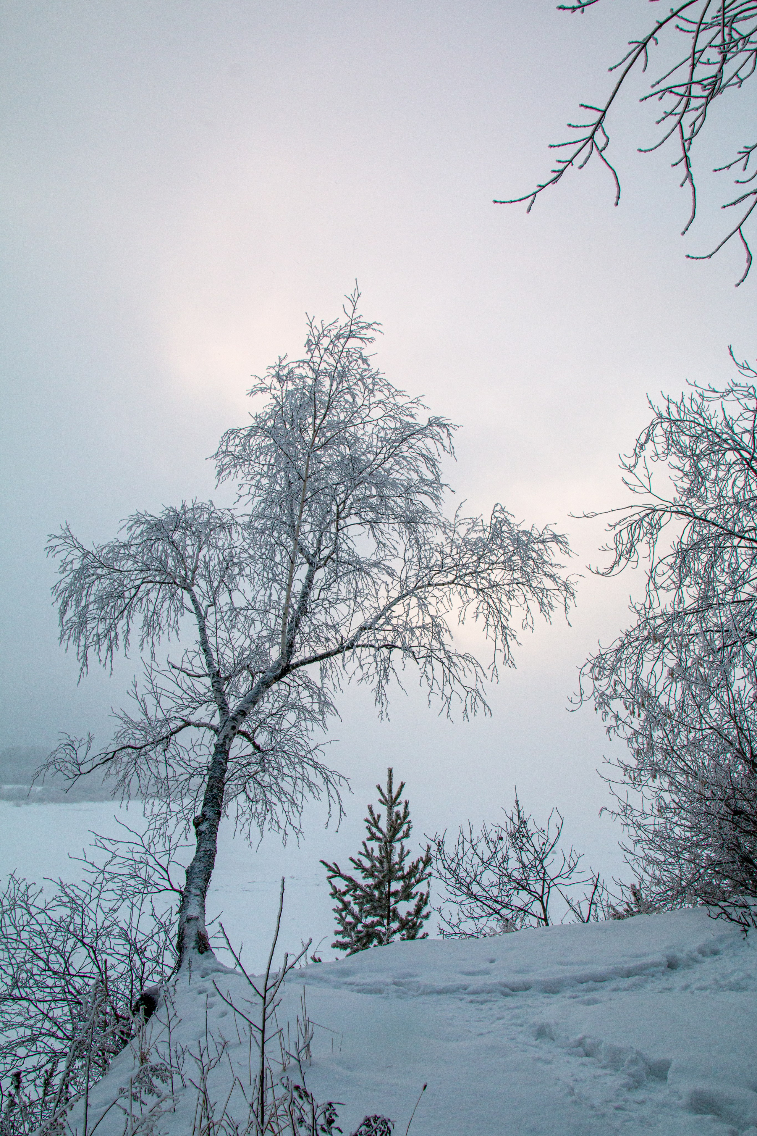 Зима. Ваш фотограф Северск | Томск