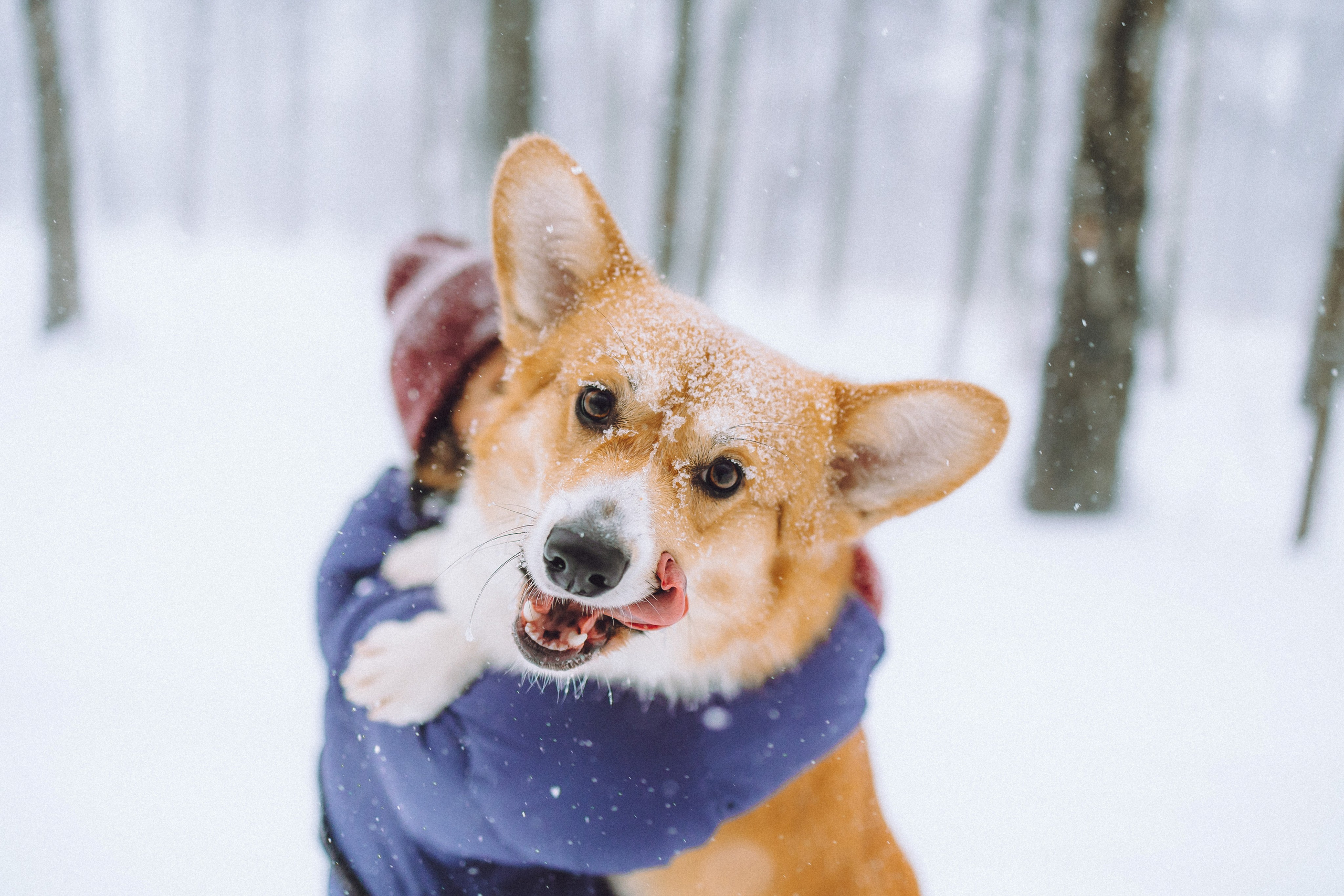 Юля и Юпитер