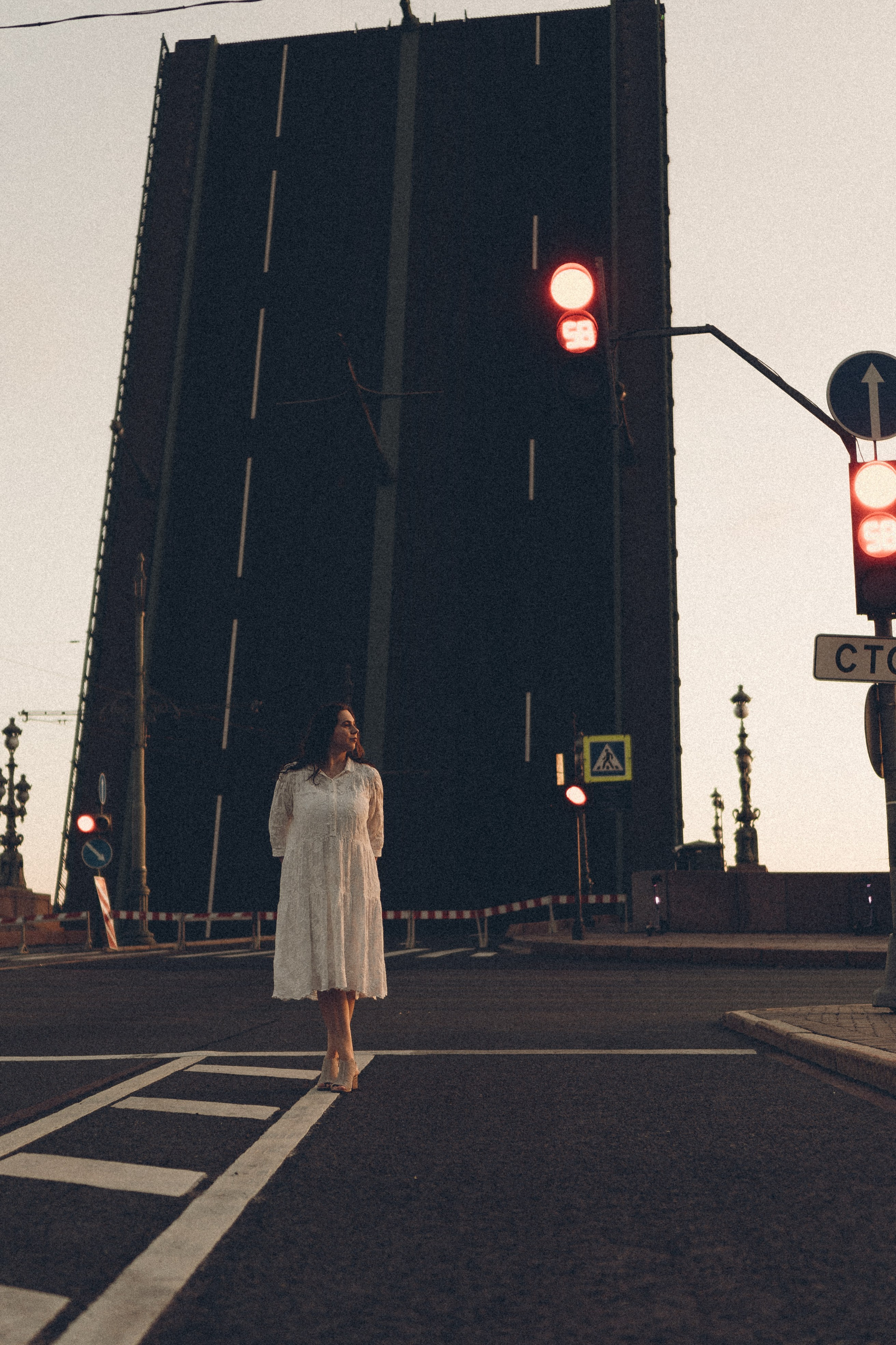 РАССВЕТ С РАЗВОДНЫМИ МОСТАМИ. Профессиональный фотограф, Санкт-Петербург — Виктория Богомолова