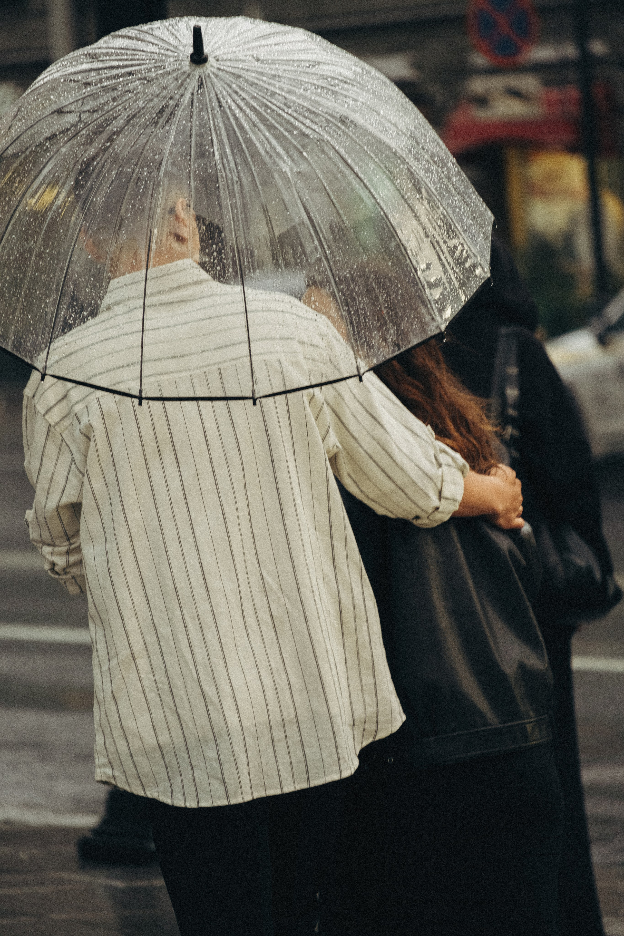 ЛЮБОВЬ В ИЮНЕ. Профессиональный фотограф, Санкт-Петербург — Виктория Богомолова