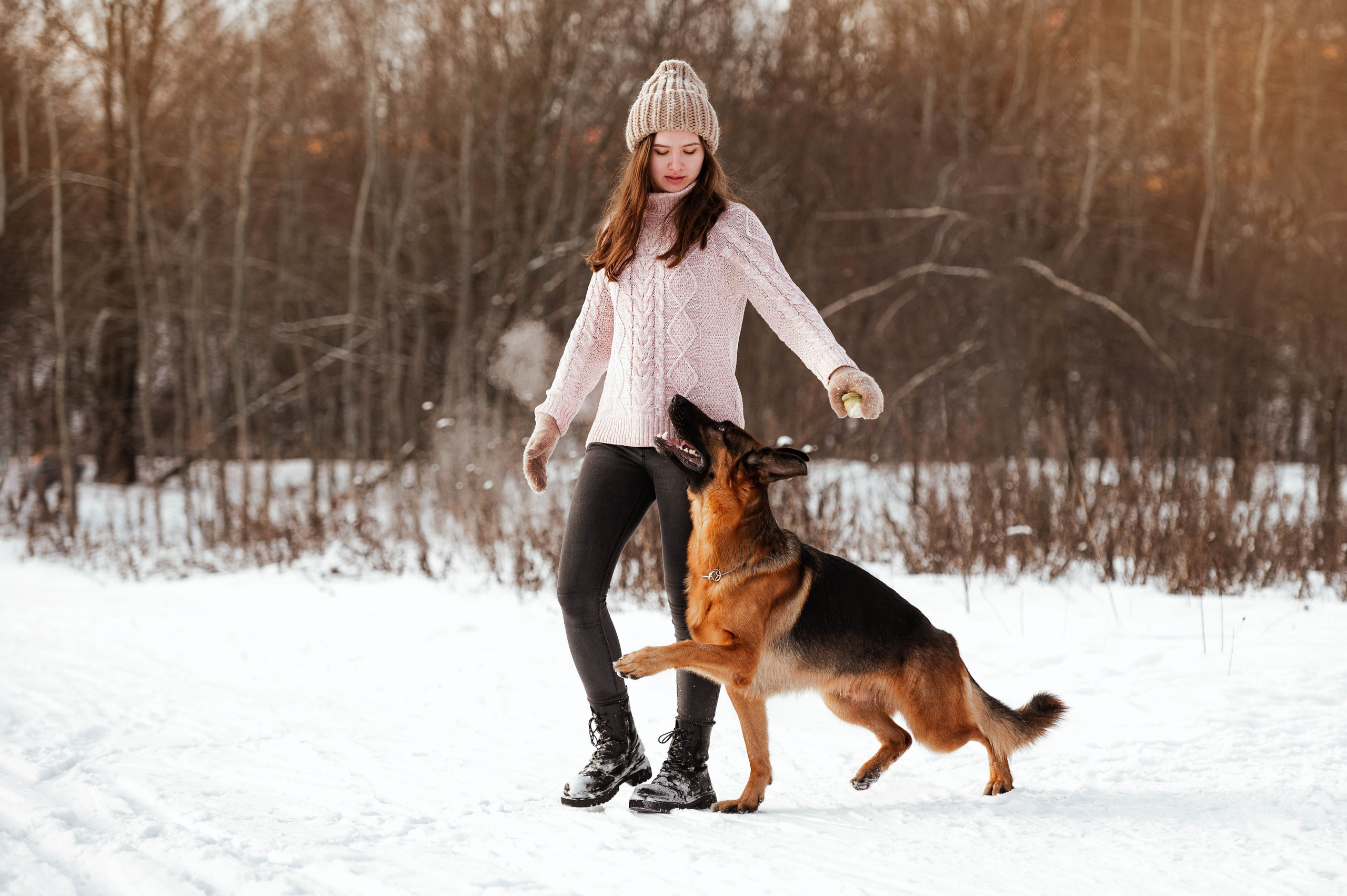 Вольт. Фотограф-анималист