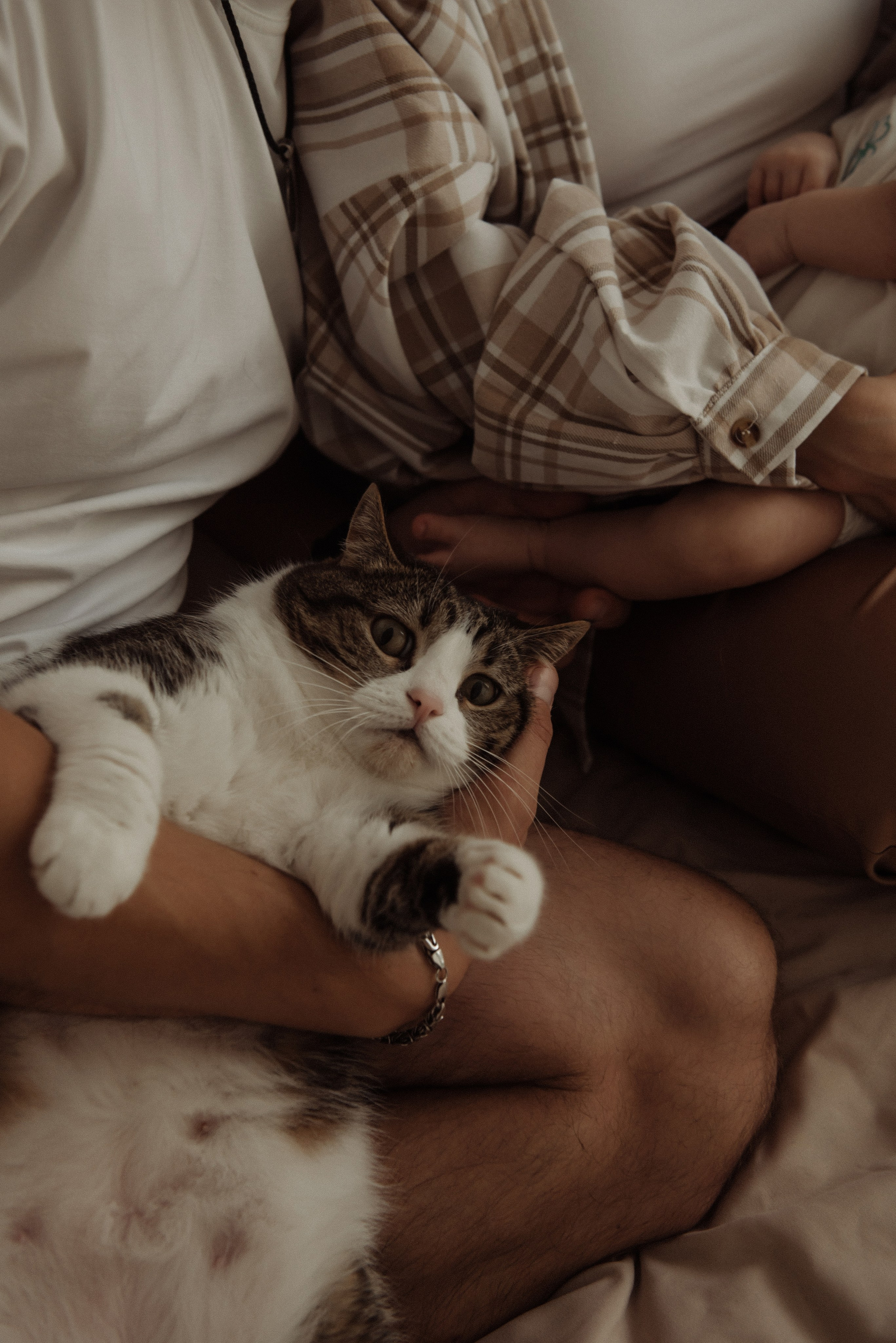 Юля, Рома, и Эрик. Свадебный, портретный, фотограф беременности в Нижнем Новгороде Алина Зиновьева