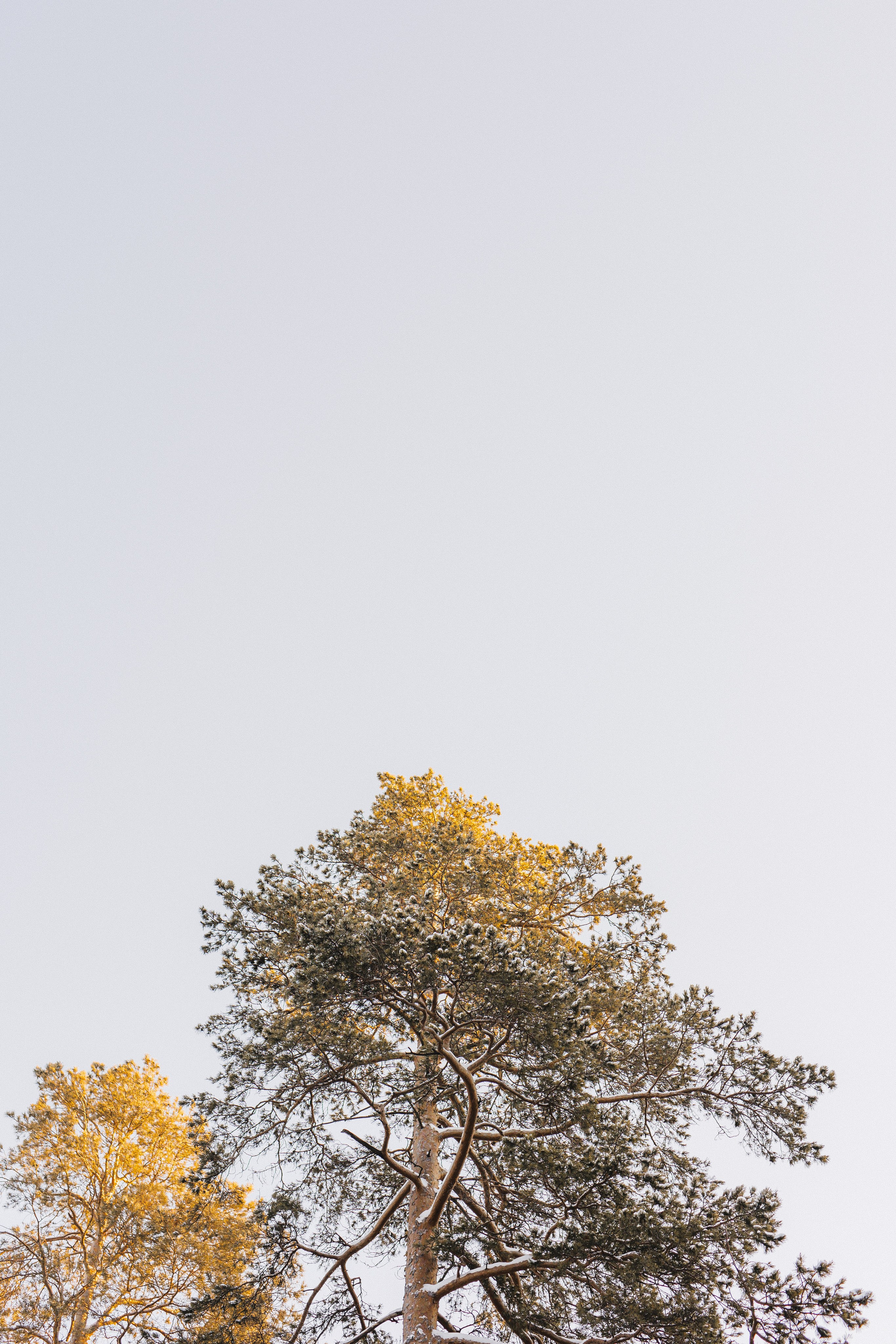 Екатерина. Фотограф Анастасия Петрова