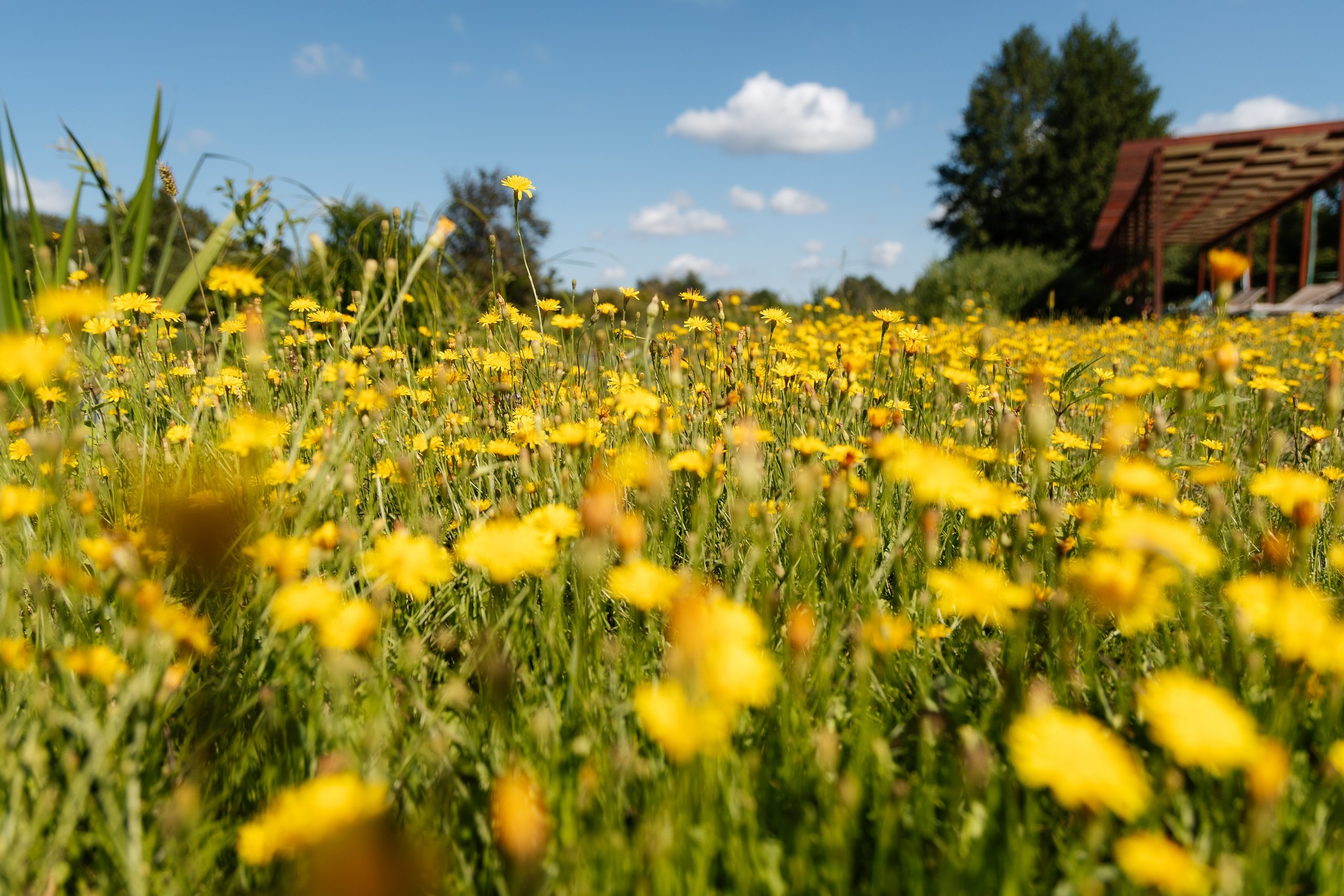Трейдсан | Корпоратив 12 лет. Свадебный и репортажный фотограф в Воронеже Сергей Максимов
