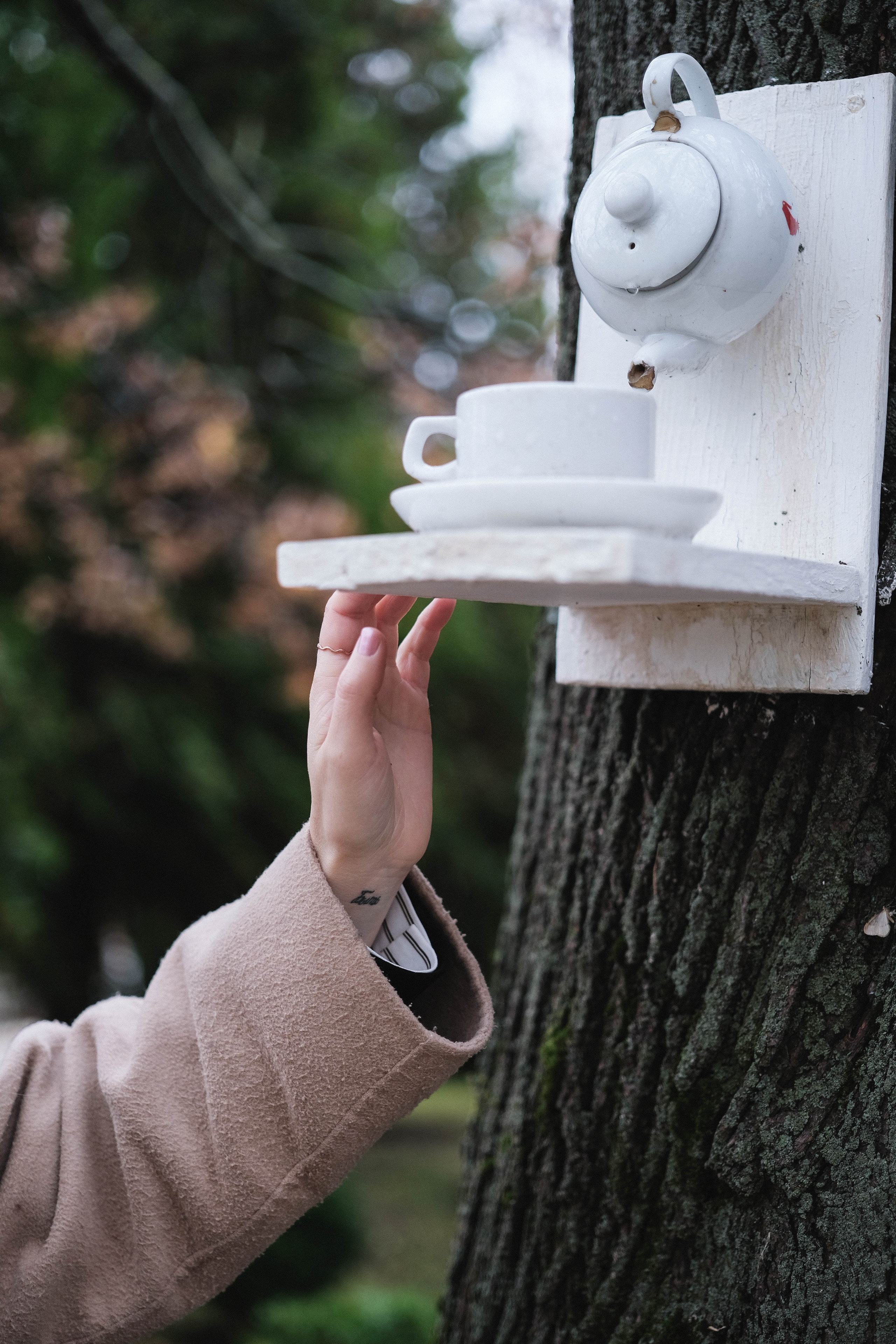 Светлана. Портретный фотограф в Москве Таня Майорова