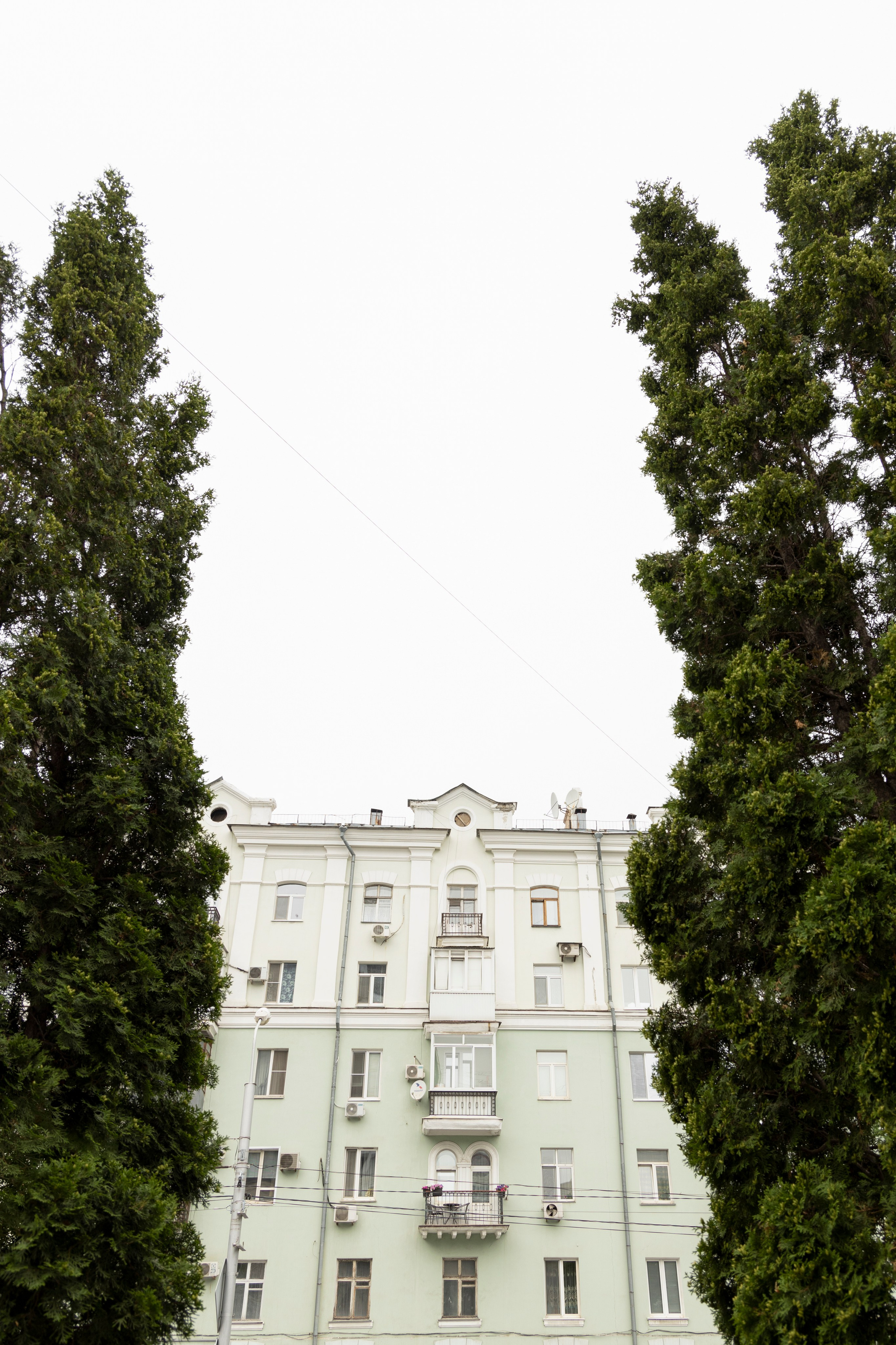 Анна | Никита. Свадебный фотограф Александра Попова