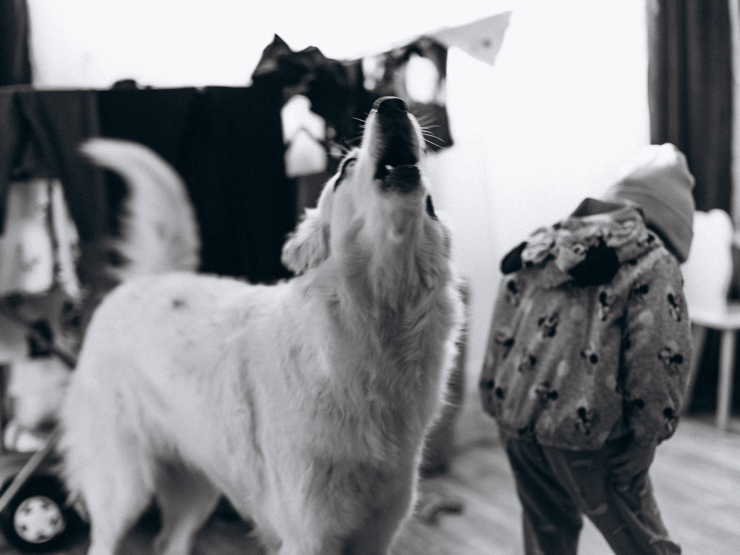 Кирилл, Юля и Варюша. Soulful Movies — видео проекты и фотосессии