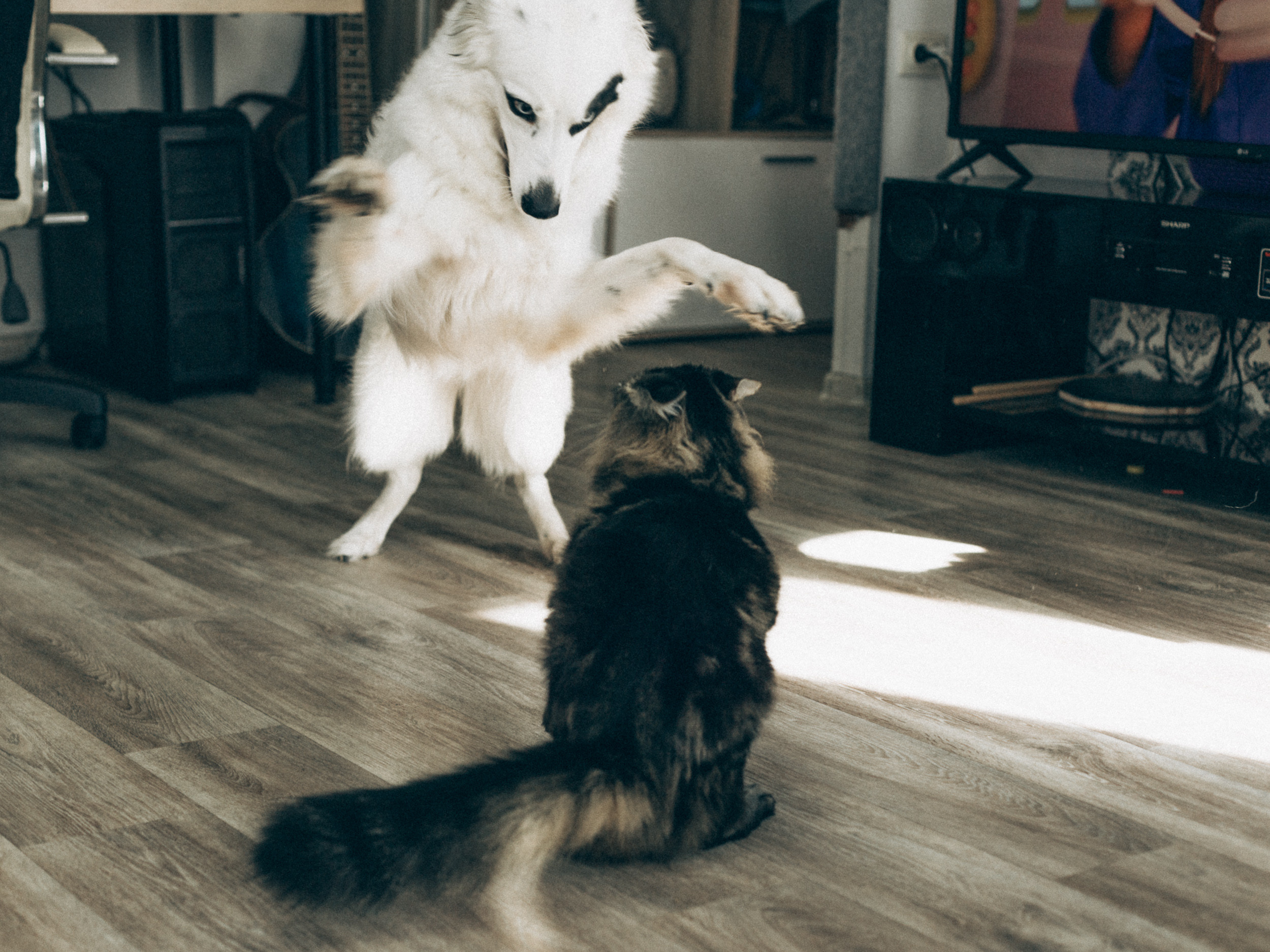 Кирилл, Юля и Варюша. Soulful Movies — видео проекты и фотосессии