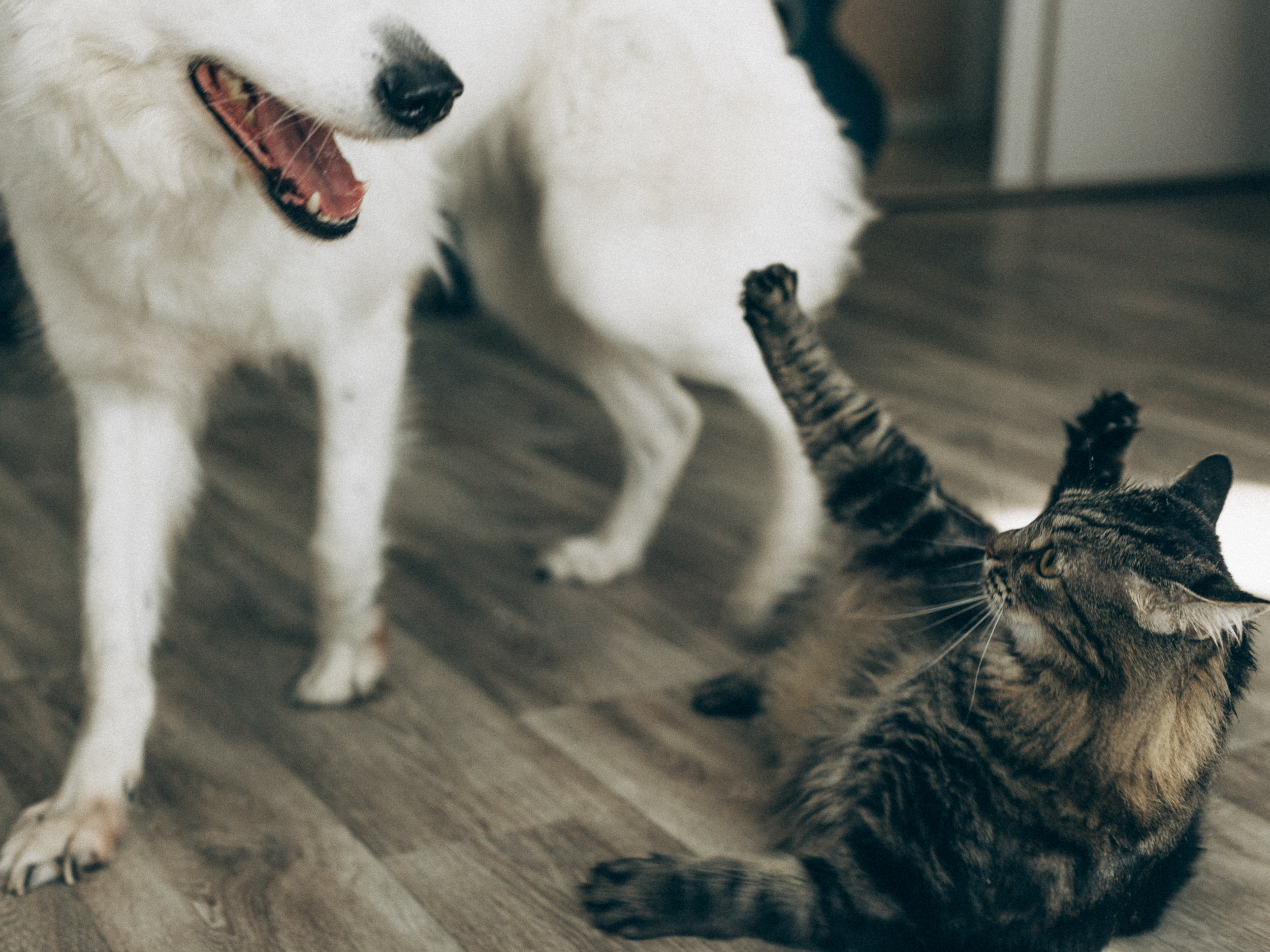 Кирилл, Юля и Варюша. Soulful Movies — видео проекты и фотосессии