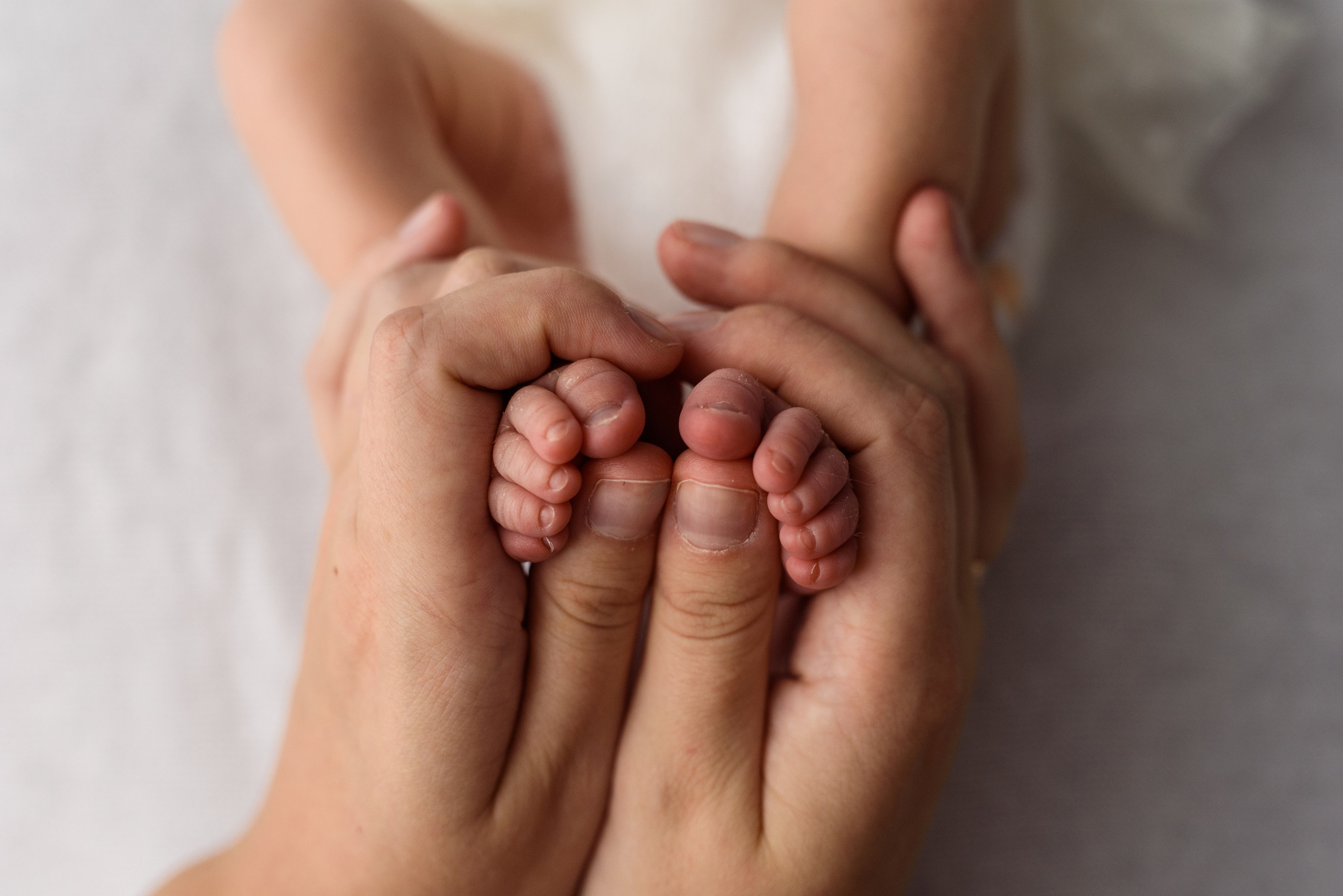 Новорожденные. Фотограф Шарыпово