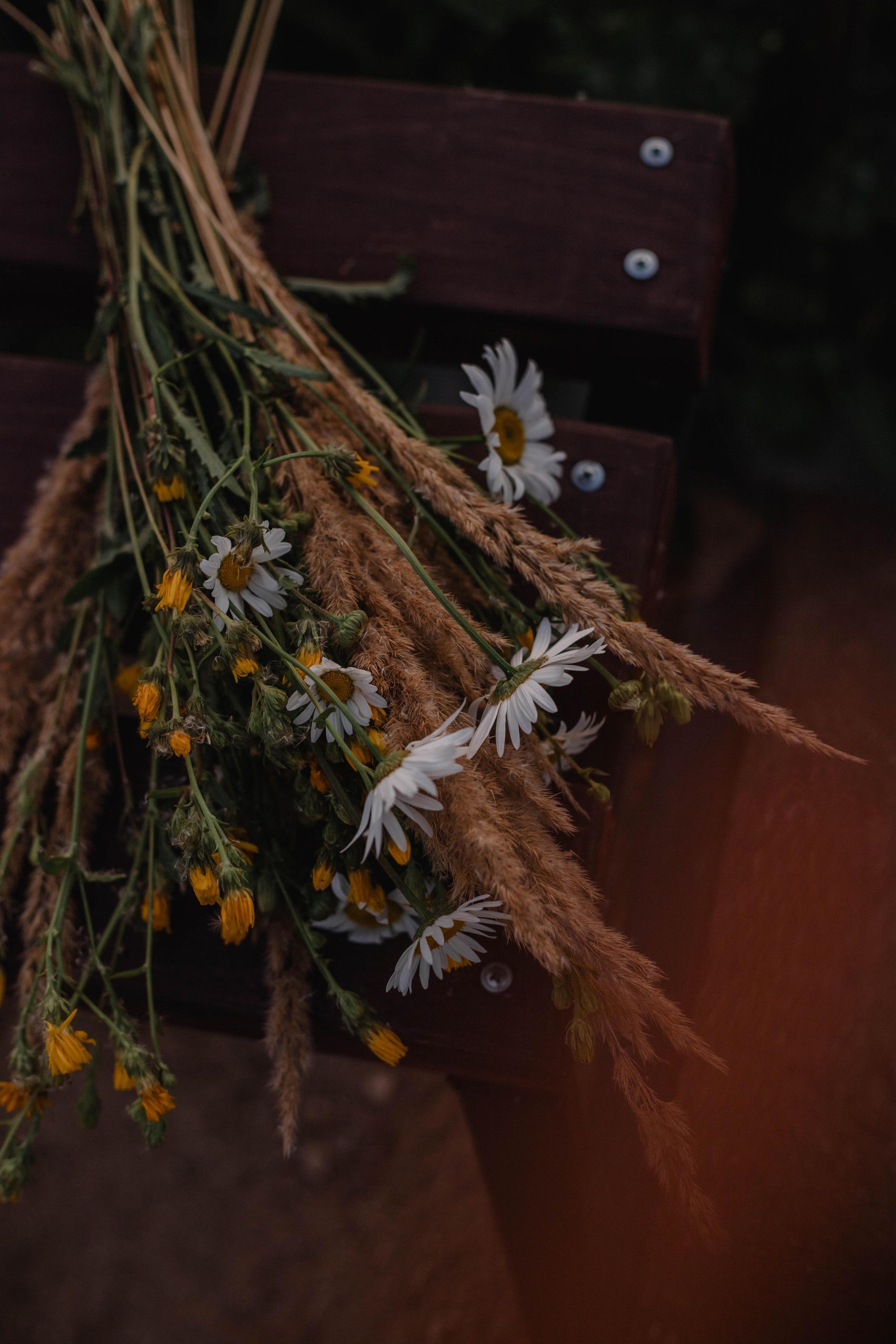 Семейная съёмка :)