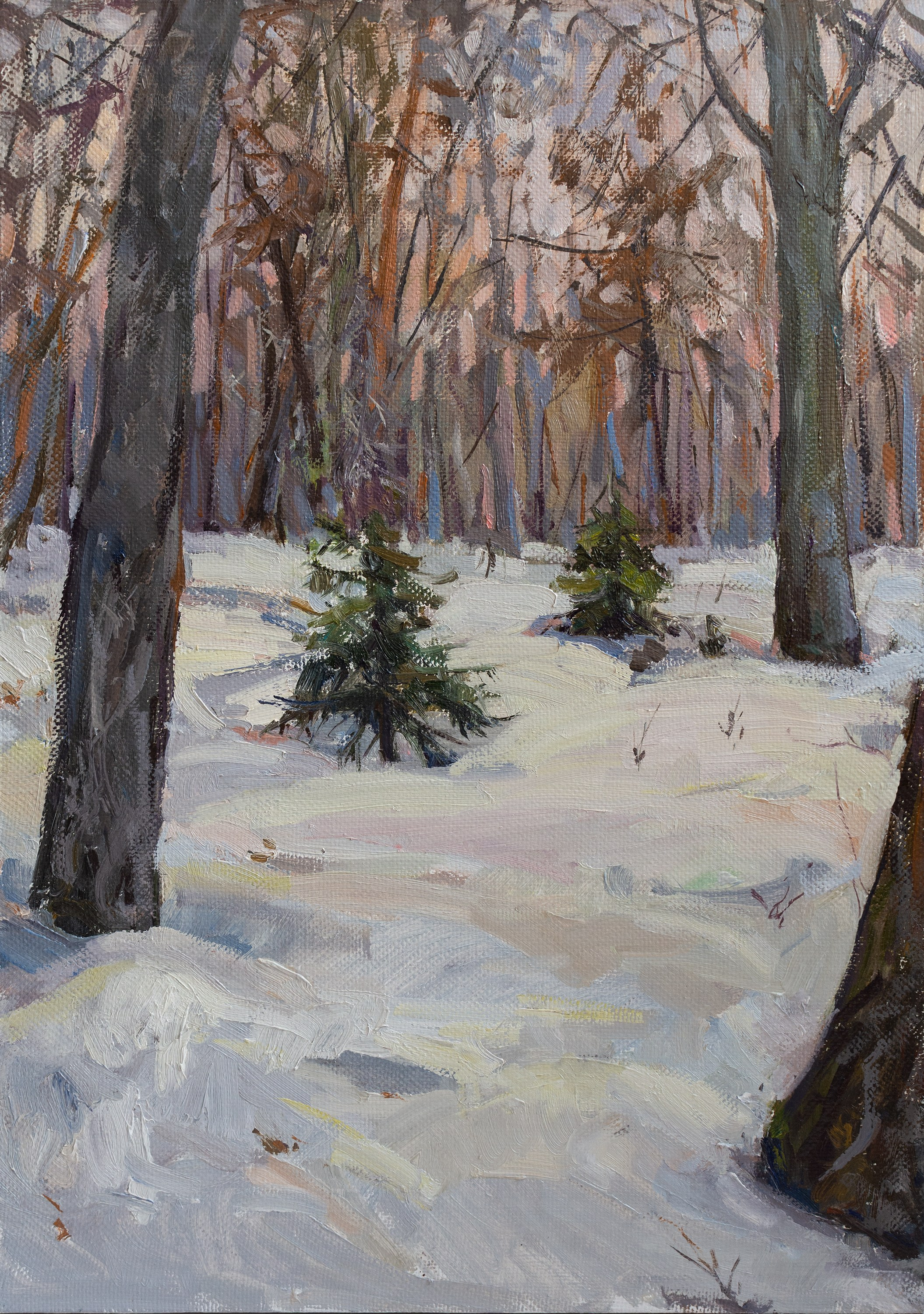 "A study. In Sokolniki Park" oil on canvas, 50x35cm, 2026