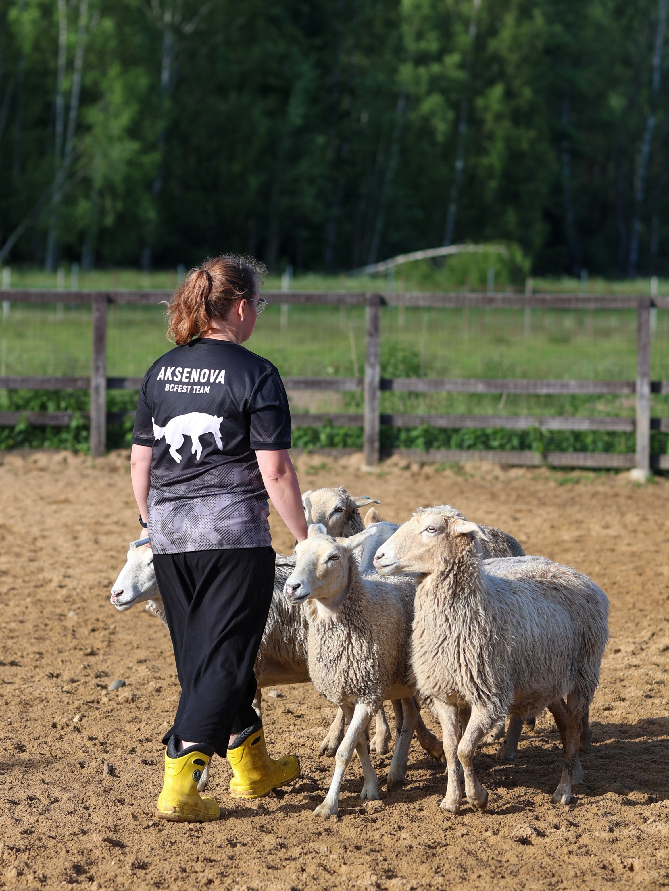 Пастьба. Фотограф-анималист в Москве Кириллова Татьяна