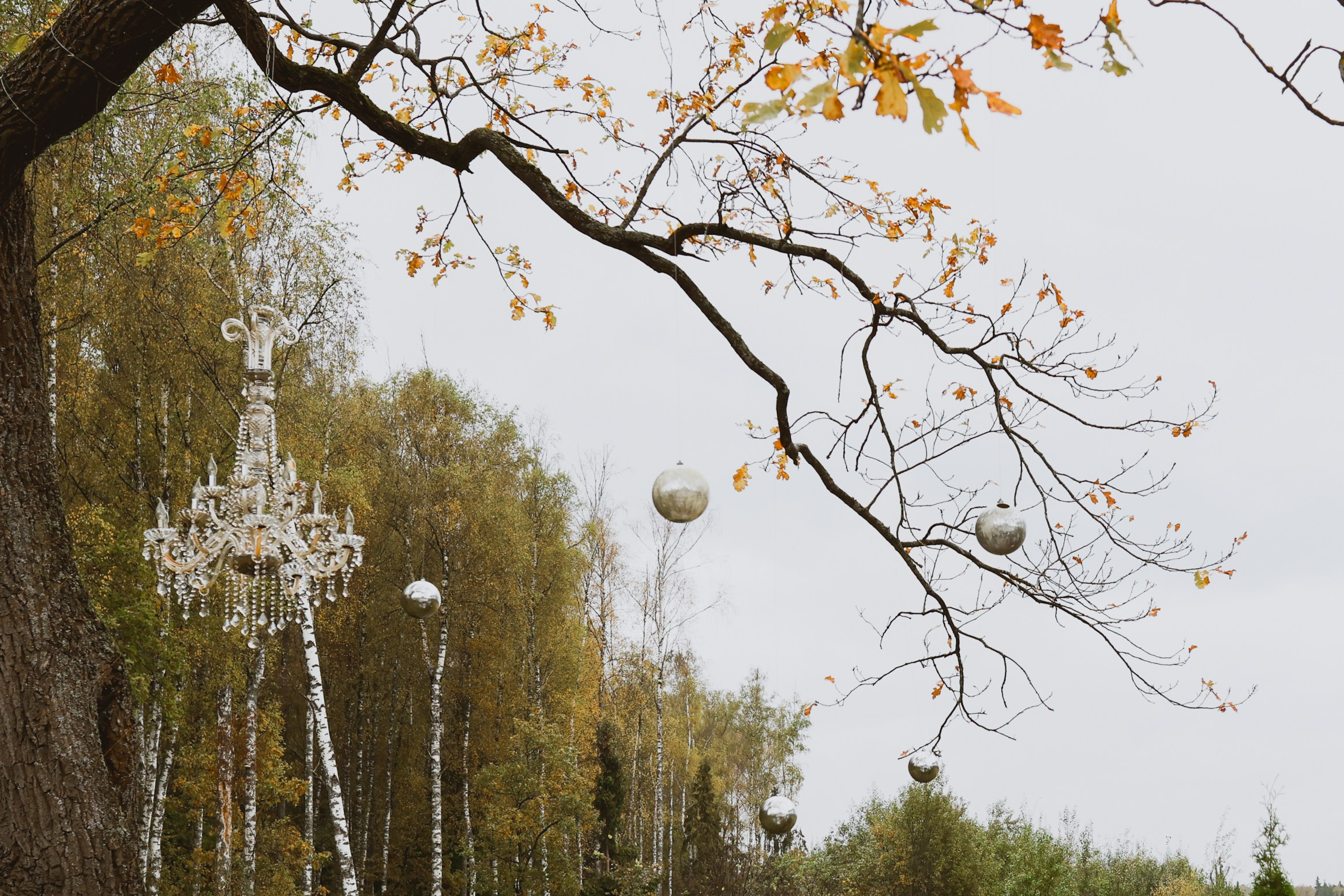 Зеленоградский ЗАГС. Свадебный фотограф Курзина Ольга | Москва