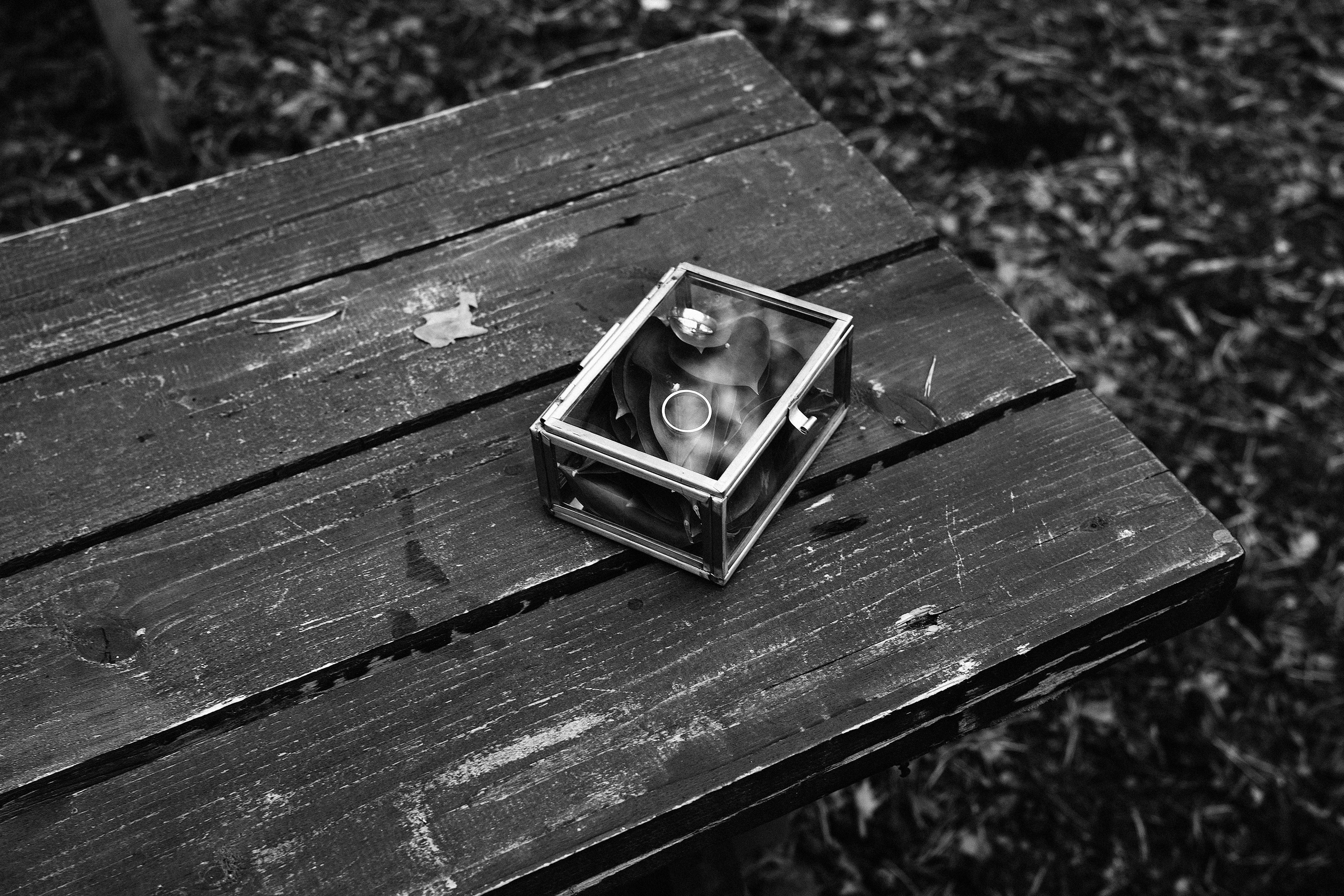 Петербург 2021. Фотограф Яна Булгакова