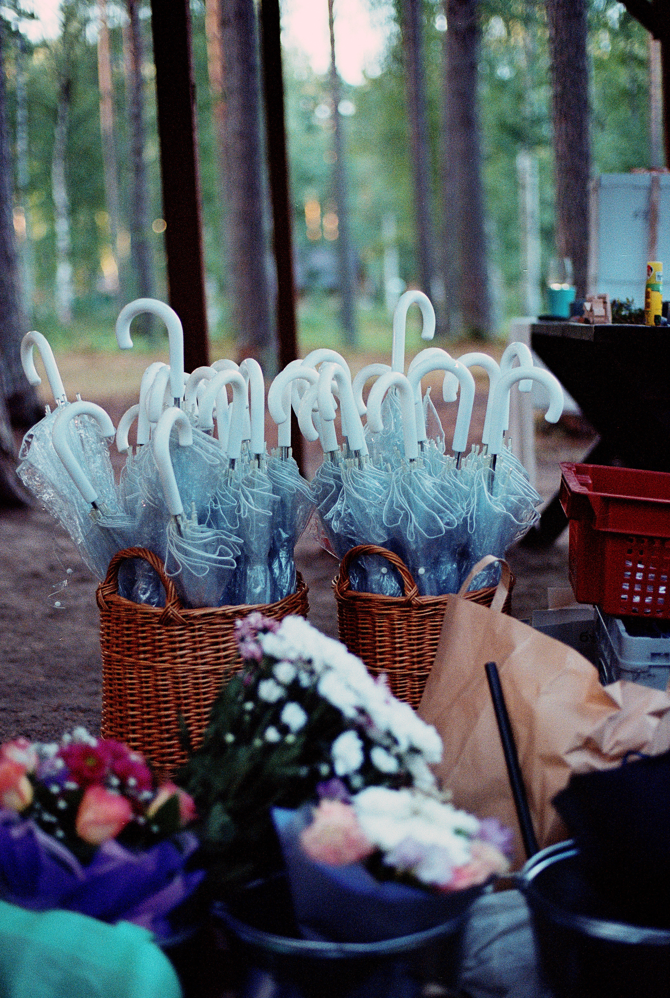 Петербург 2021. Фотограф Яна Булгакова