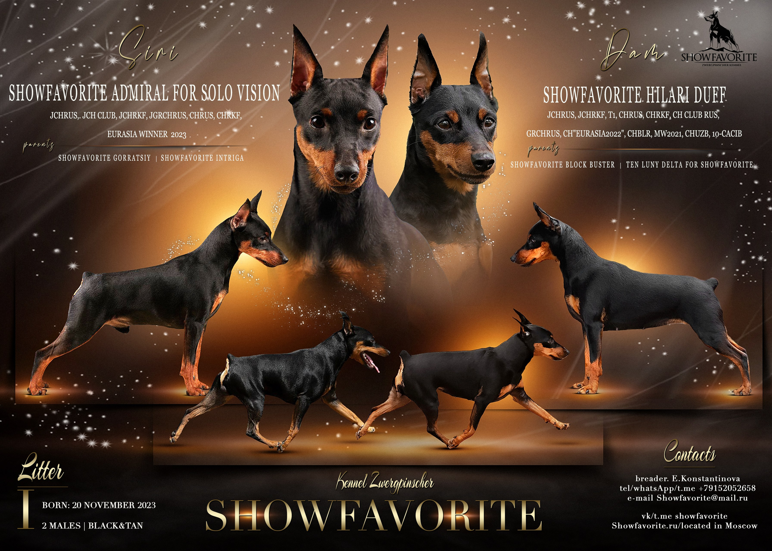 Animal presentation. Фотограф