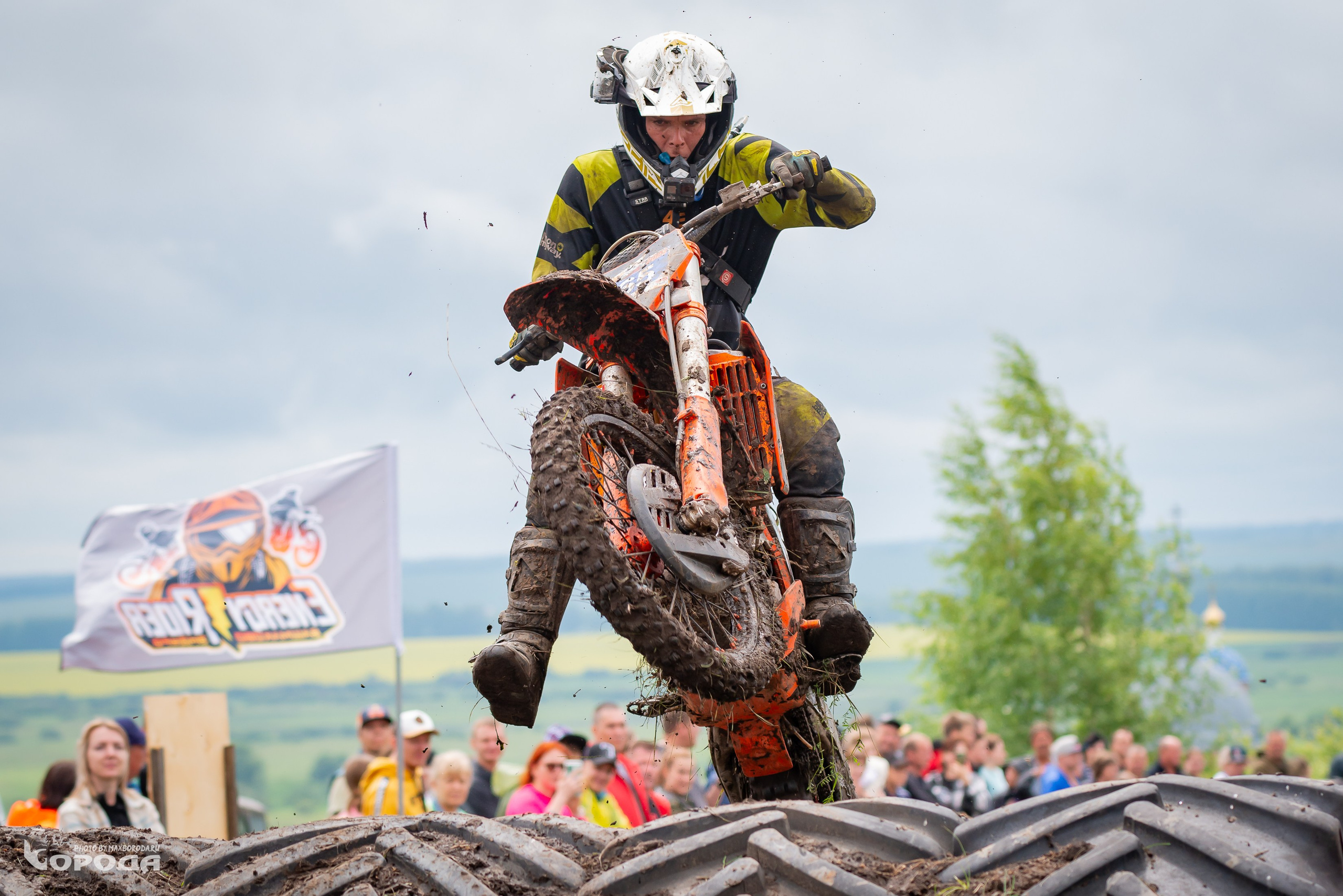 Дубрава 2025. Фотограф | Макс Борода