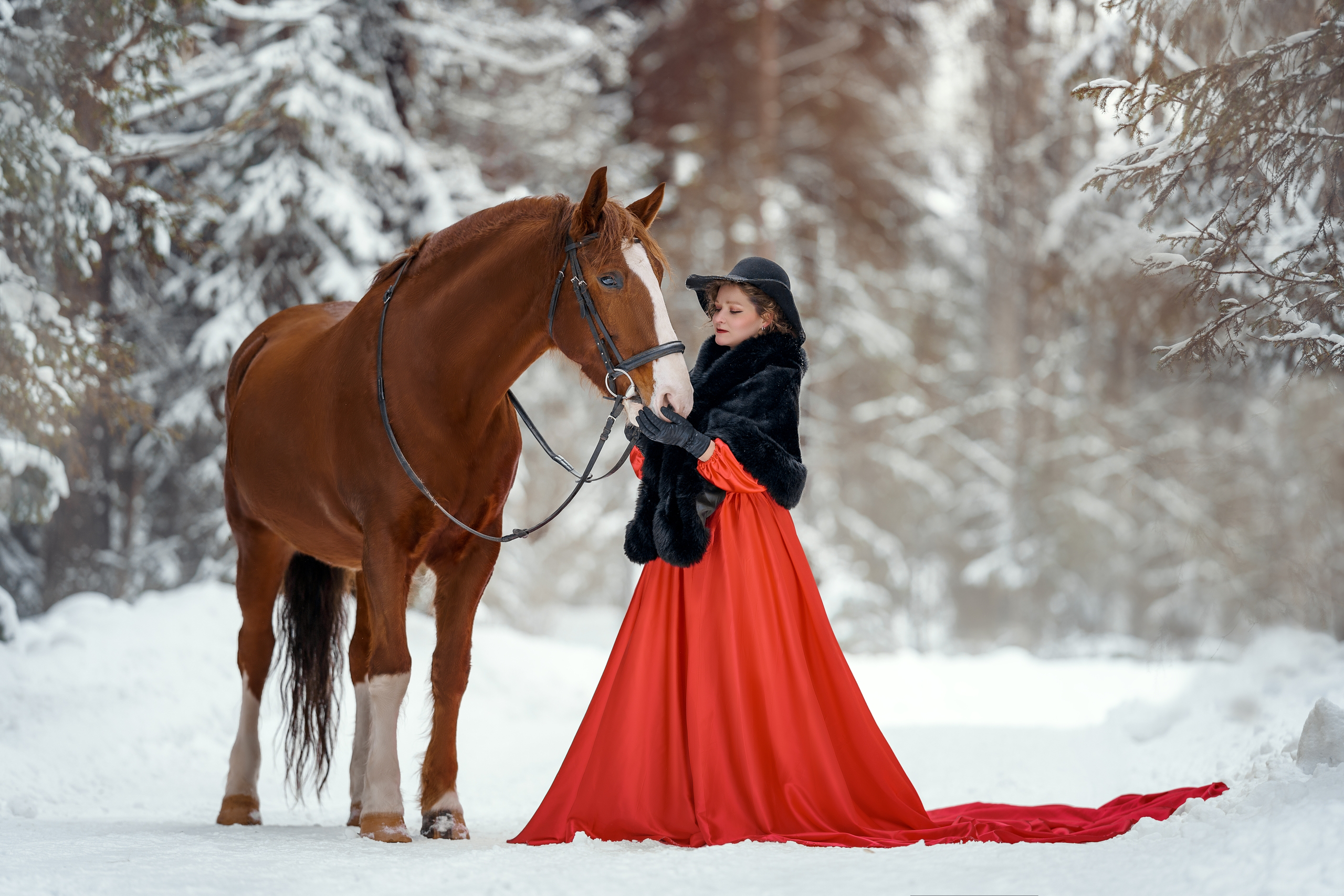 Фотосессии с лошадьми. Фотограф Артемьева Катерина|фотосессии с лошадьми