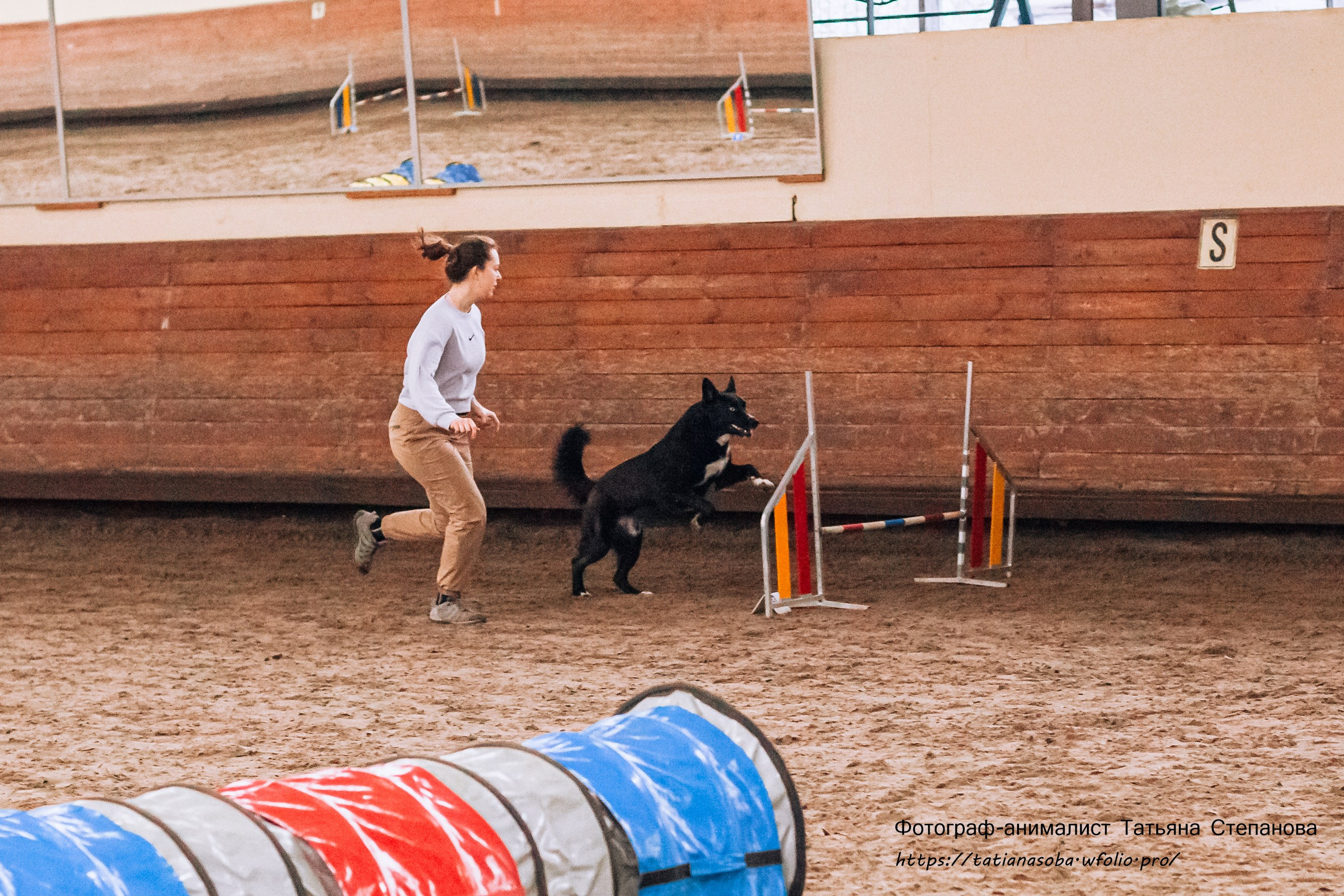 Соревнования по Аджилити 25.02.2024. Фотограф-анималист Татьяна Степанова