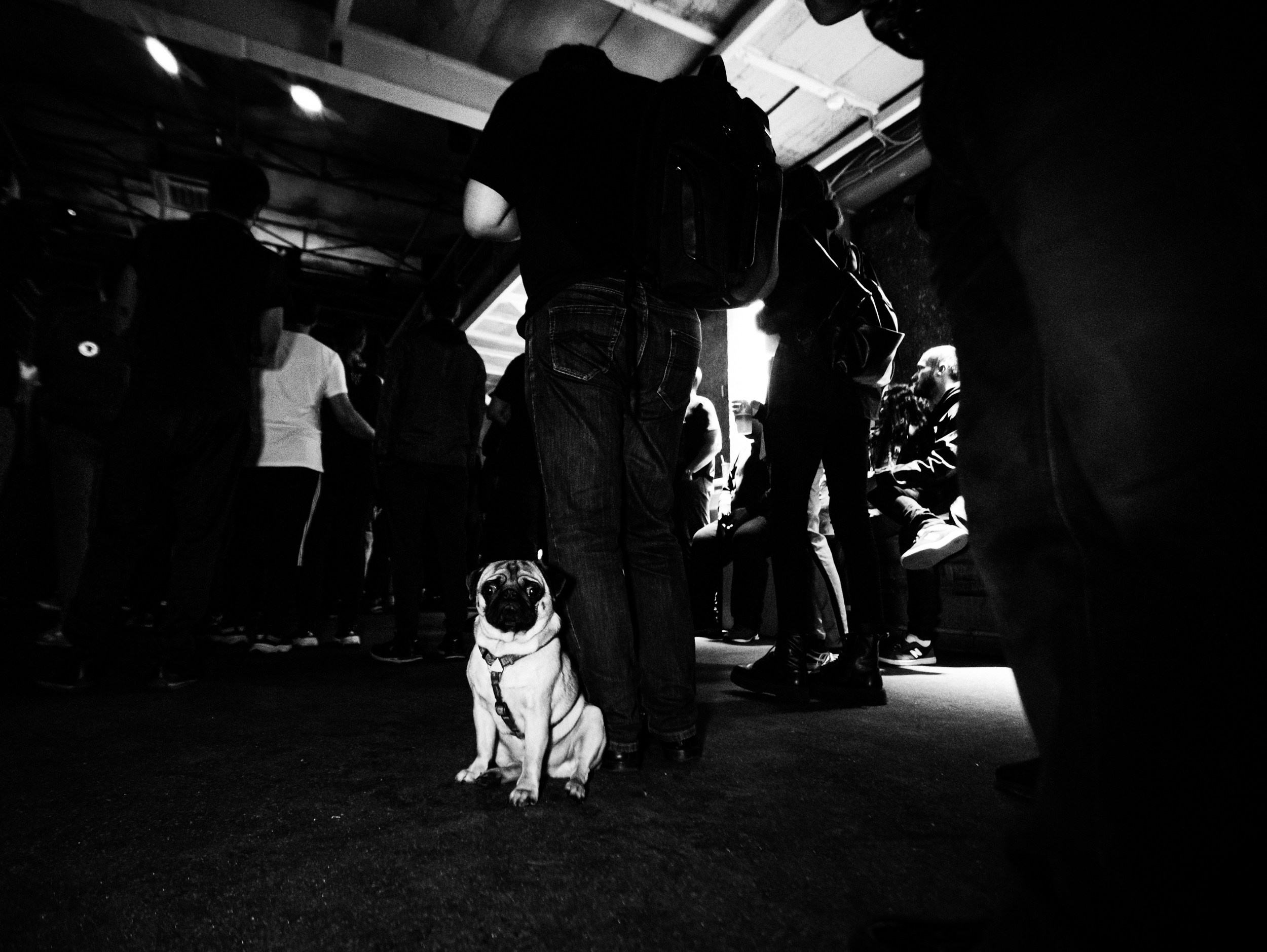 Роад трип TRNA СПБ-Москва 2021. Фотограф Мария Немм