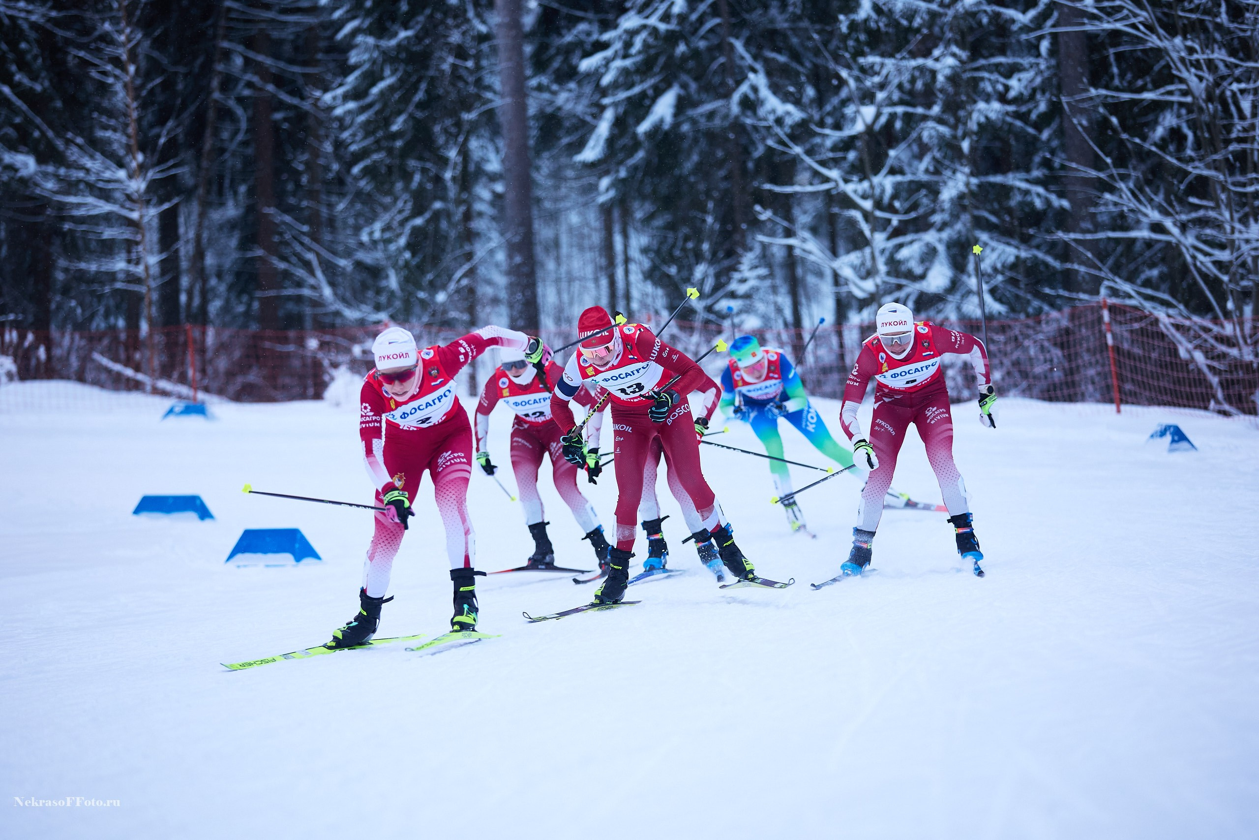 Кубок России по Лыжным гонкам. Спортивный фотограф Некрасов Денис