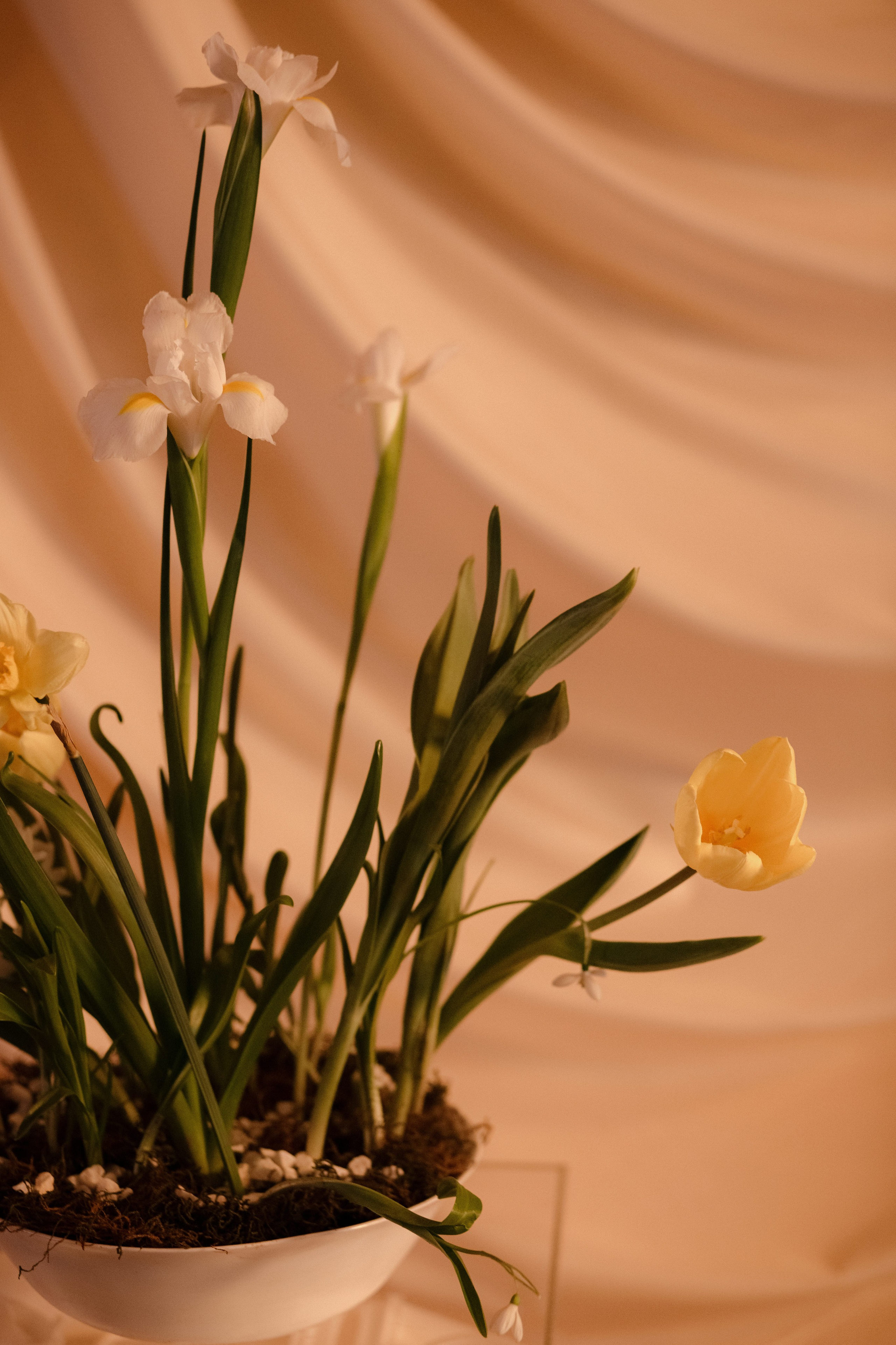 Свадебный фотограф Ростов — Искренняя история любви Алексея и Юлии в фото. Свадебный и семейный фотограф в Таганроге Бакарюк Антон