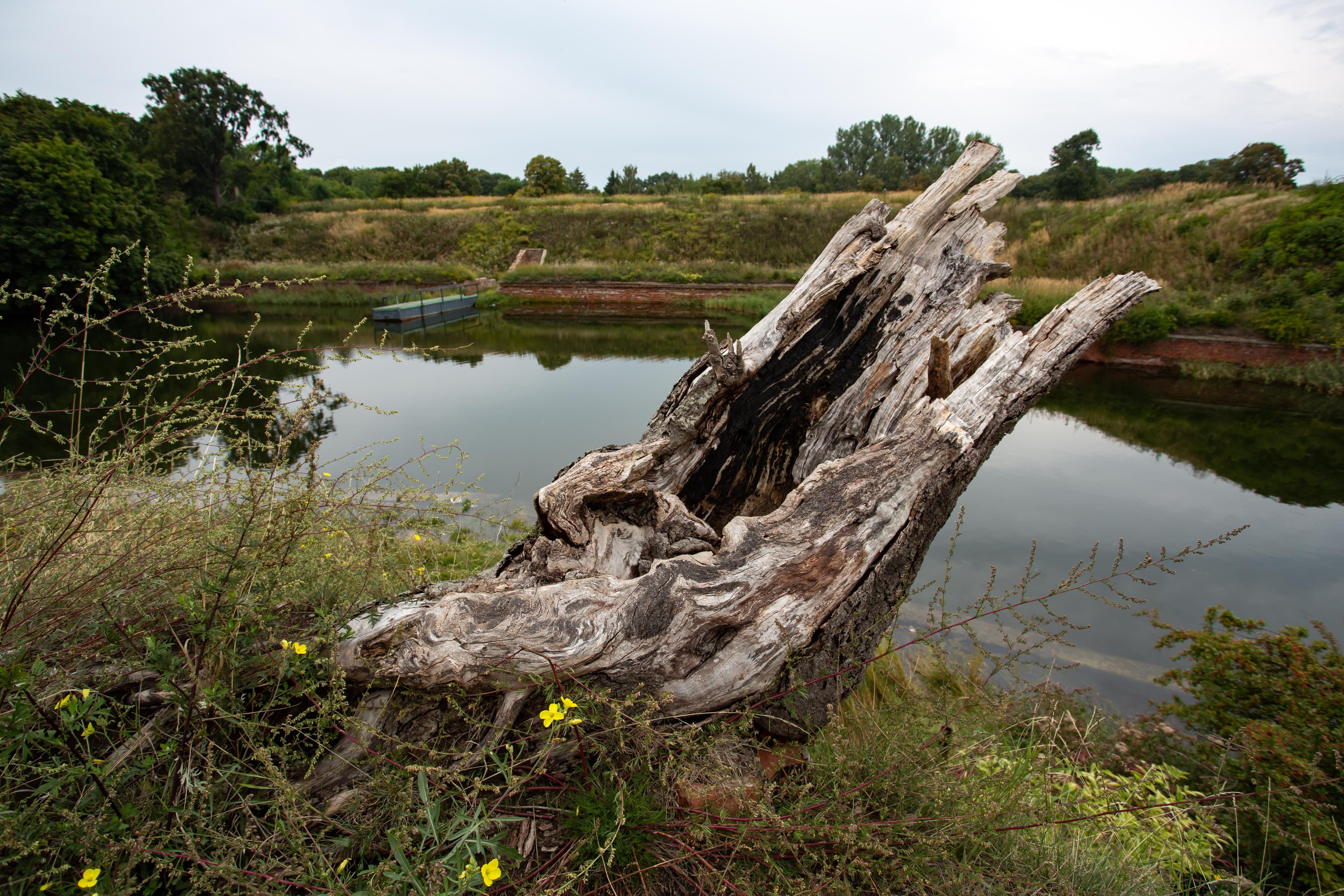Балтийск. Photographer Sonkina Tatiana (Tanya Ash)
