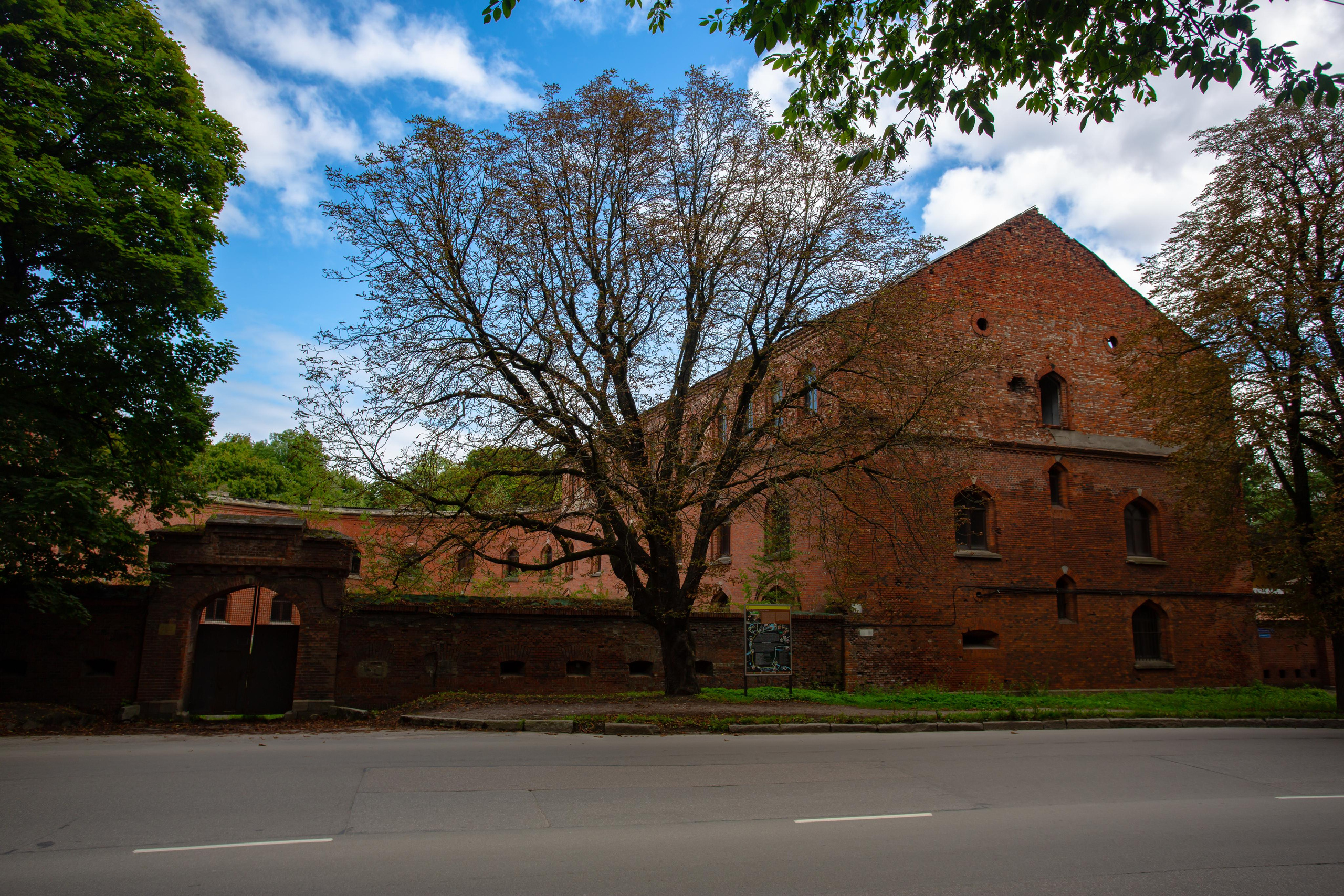 Калининград. Photographer Sonkina Tatiana (Tanya Ash)