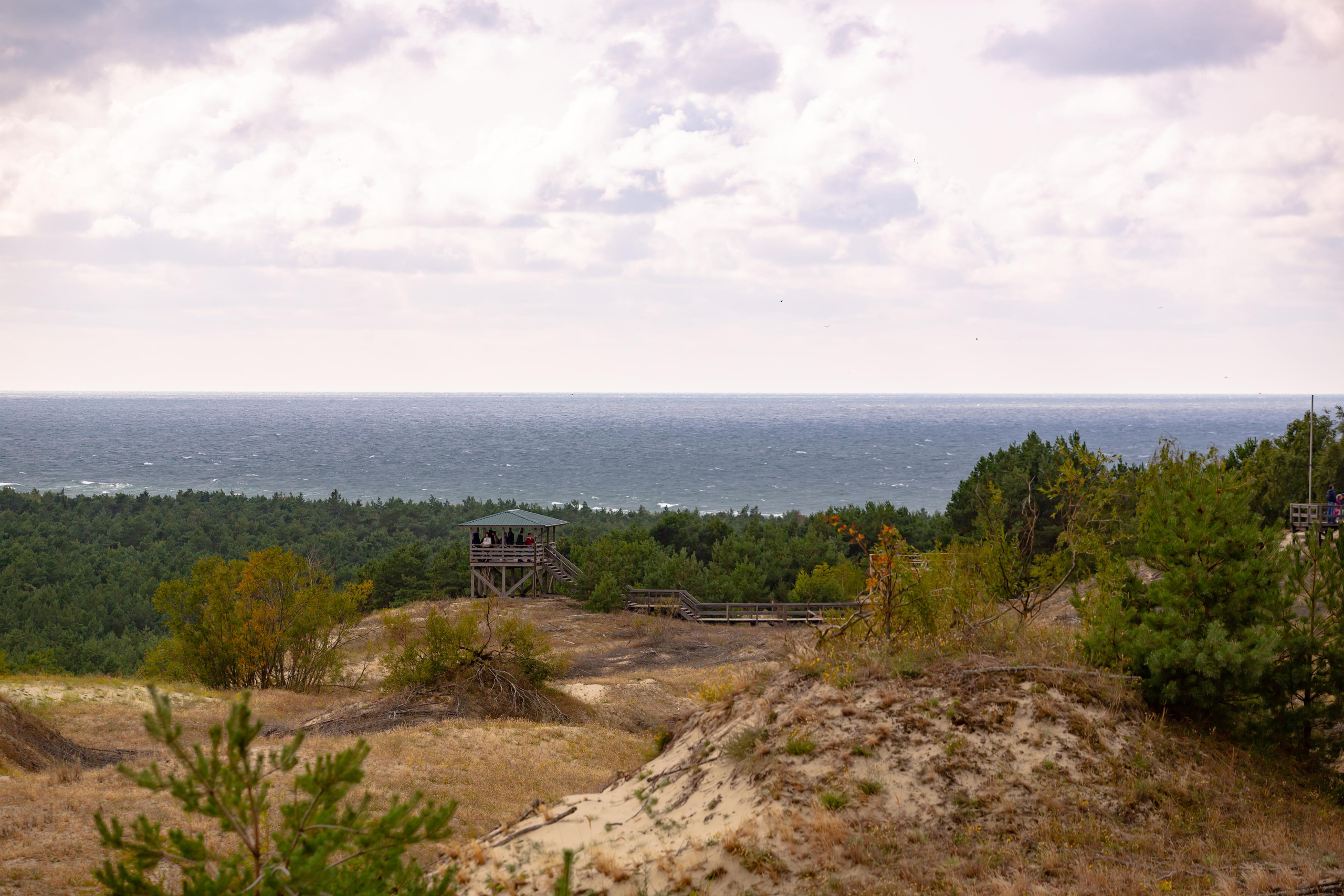 Куршская Коса. Photographer Sonkina Tatiana (Tanya Ash)