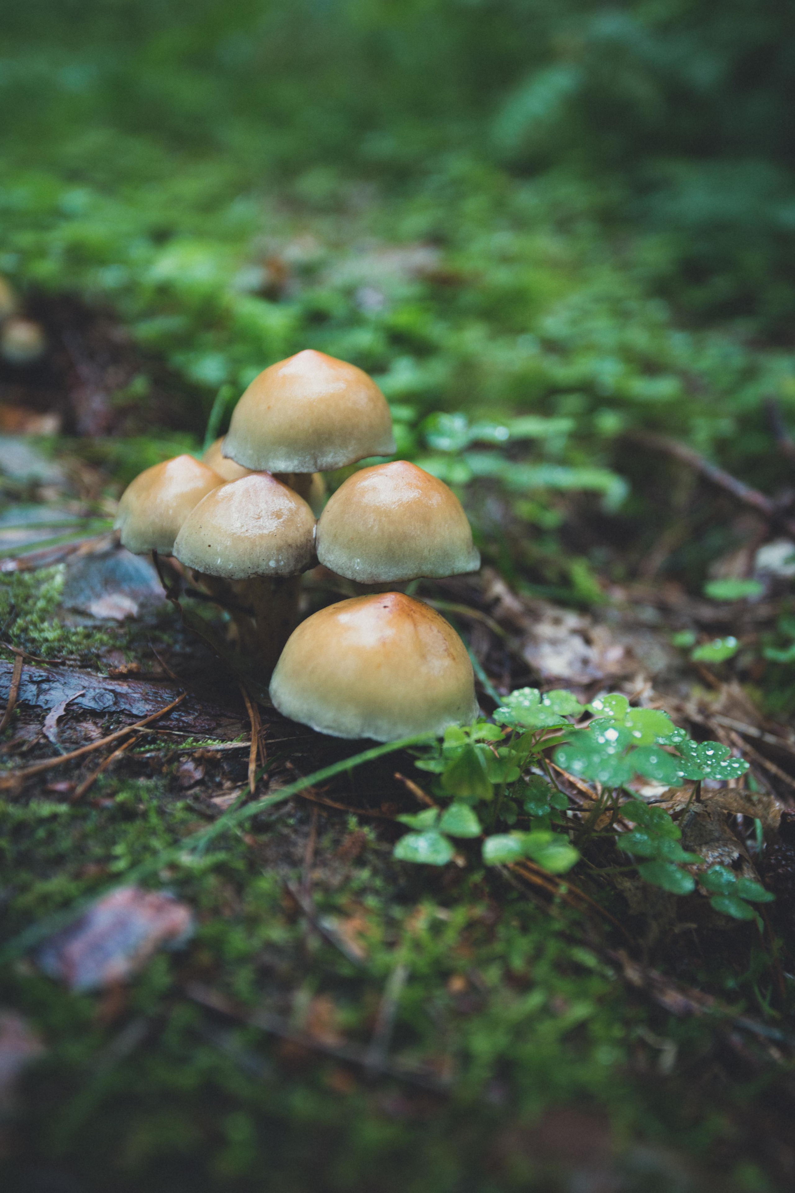 Виштынецкое озеро. Photographer Sonkina Tatiana (Tanya Ash)