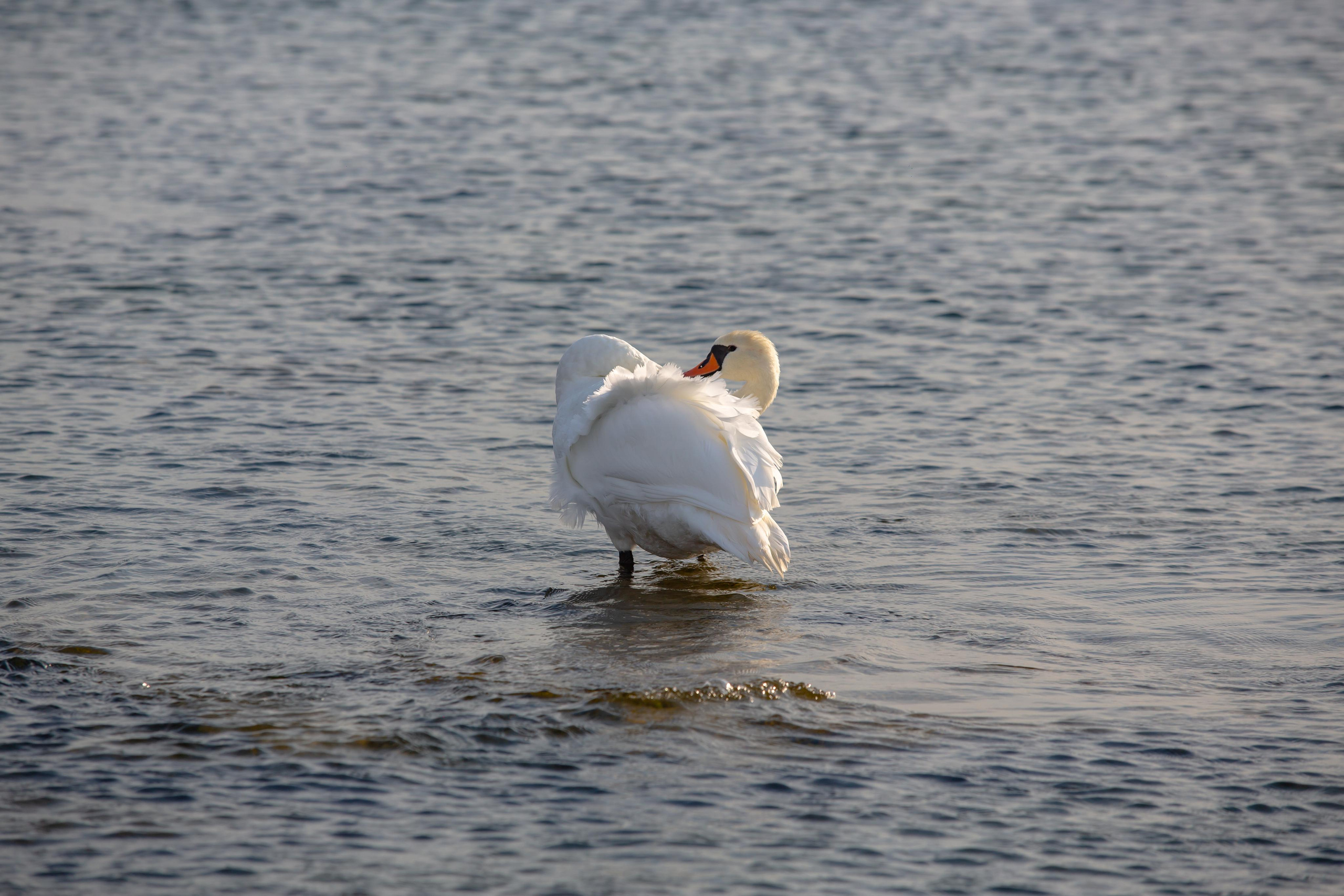 Балтийская Коса. Photographer Sonkina Tatiana (Tanya Ash)