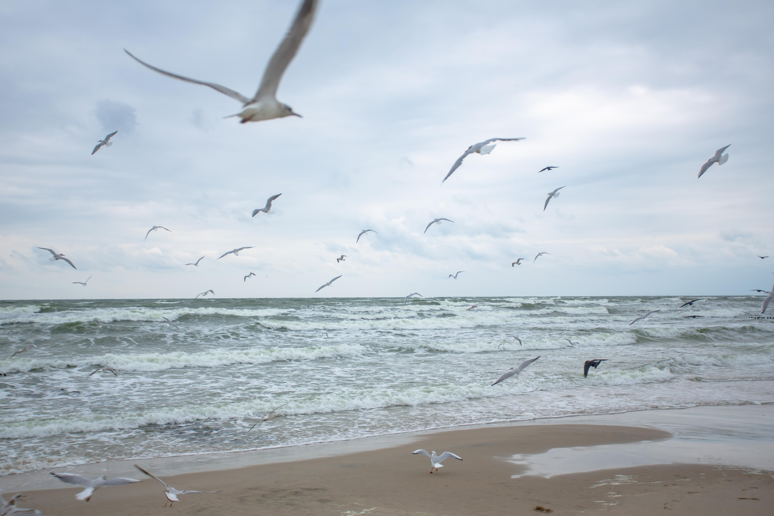 Пионерский. Photographer Sonkina Tatiana (Tanya Ash)