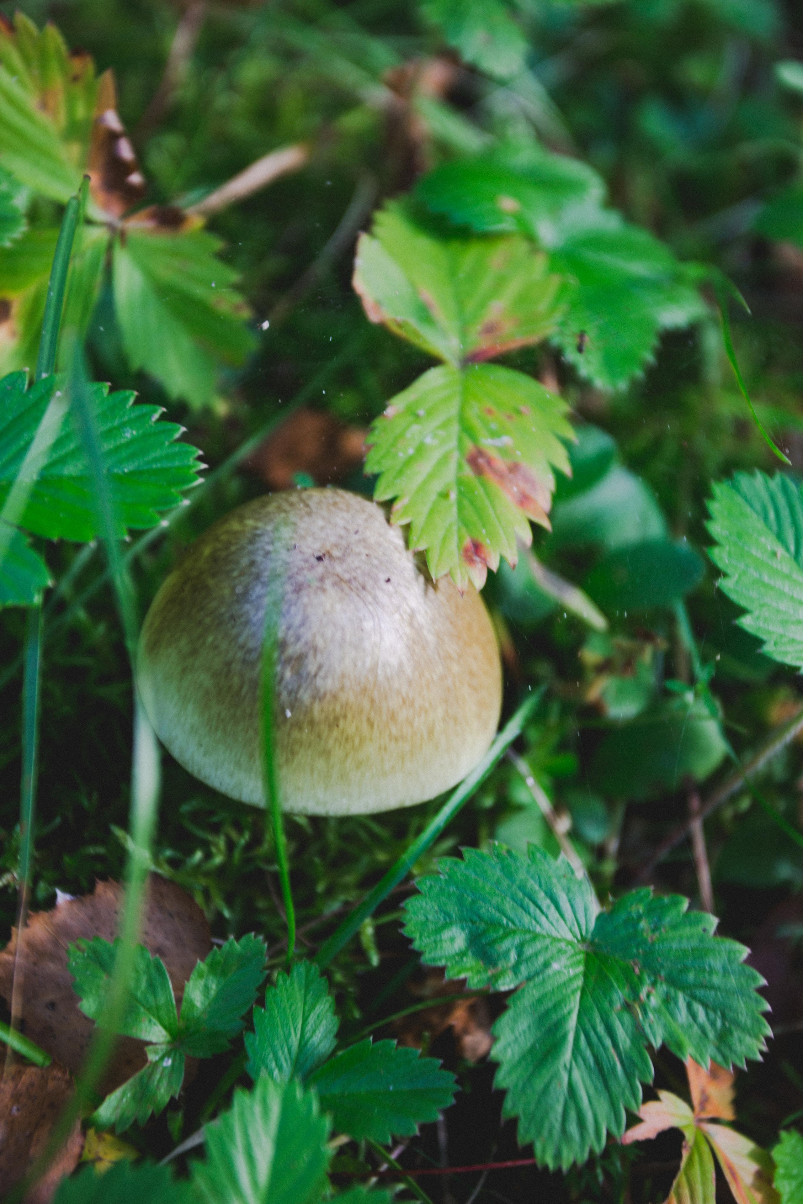 Куршская Коса. Photographer Sonkina Tatiana (Tanya Ash)
