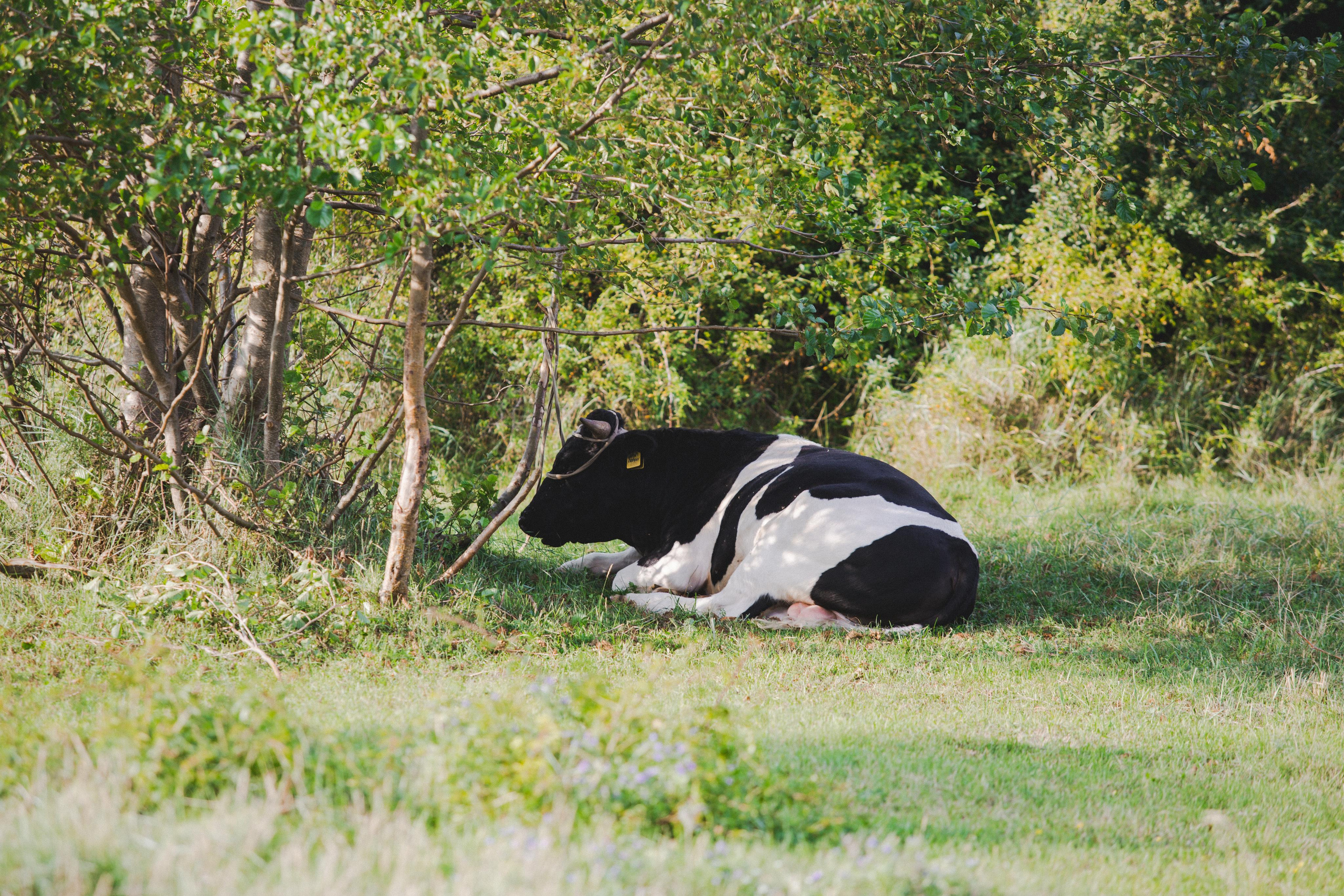 Балтийская Коса. Photographer Sonkina Tatiana (Tanya Ash)