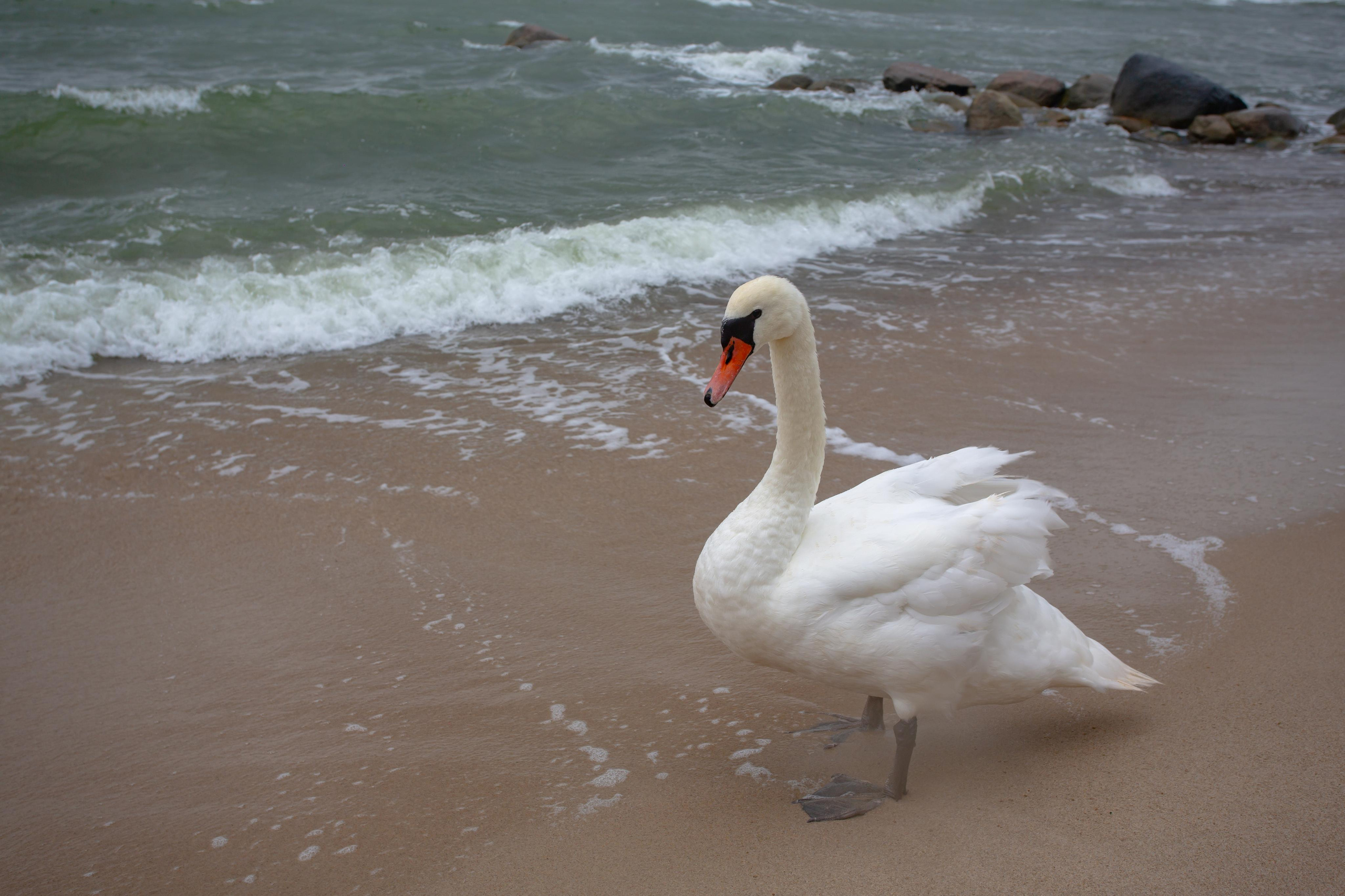 Пионерский. Photographer Sonkina Tatiana (Tanya Ash)