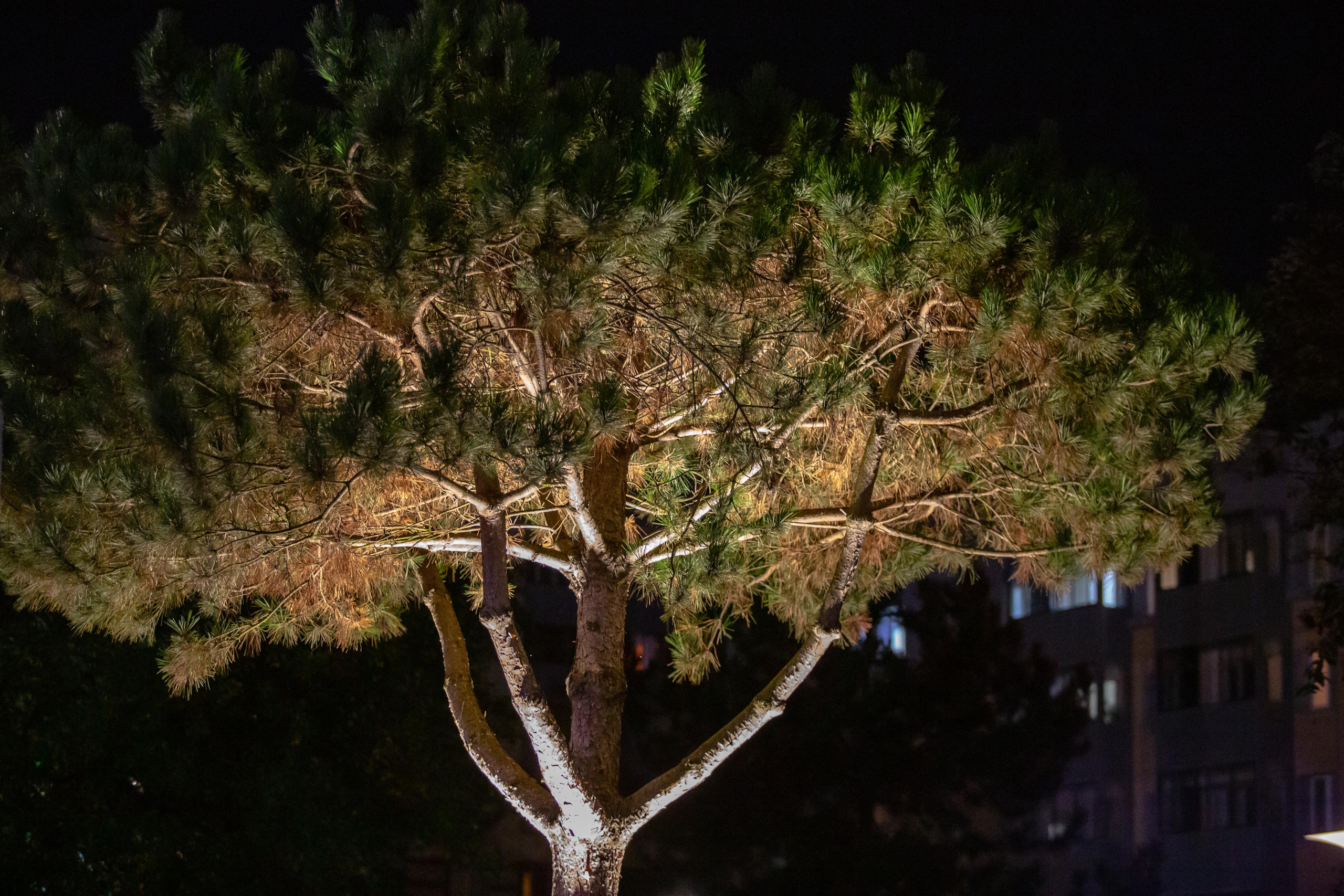 Калининград. Photographer Sonkina Tatiana (Tanya Ash)