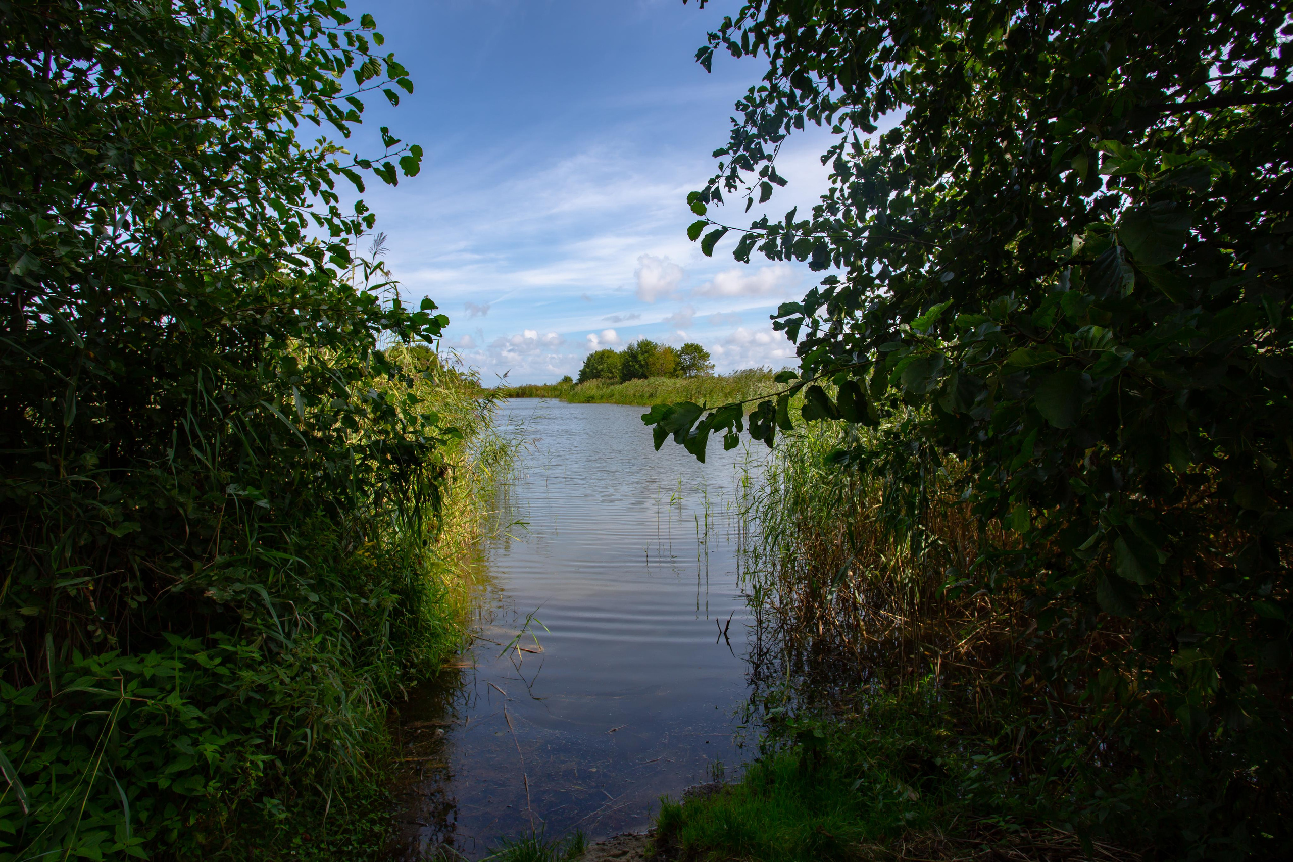 Куршская Коса. Photographer Sonkina Tatiana (Tanya Ash)